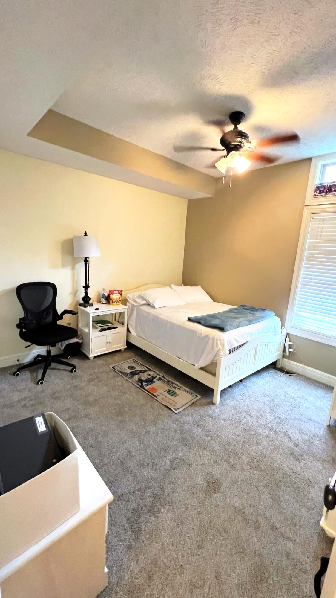 4 Remington Drive Property Photo 25