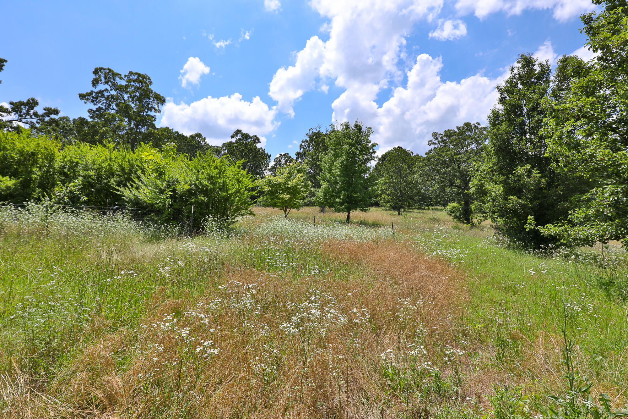 628 State Road F Property Photo 37