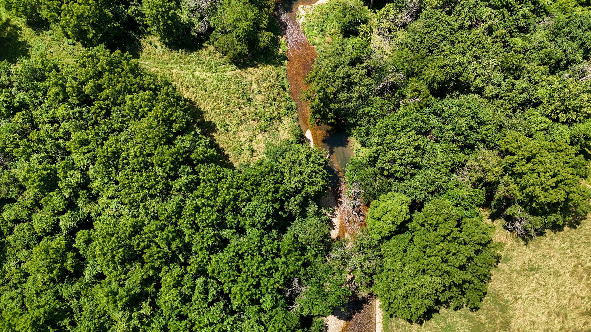 Tbd Highway V Property Photo 6