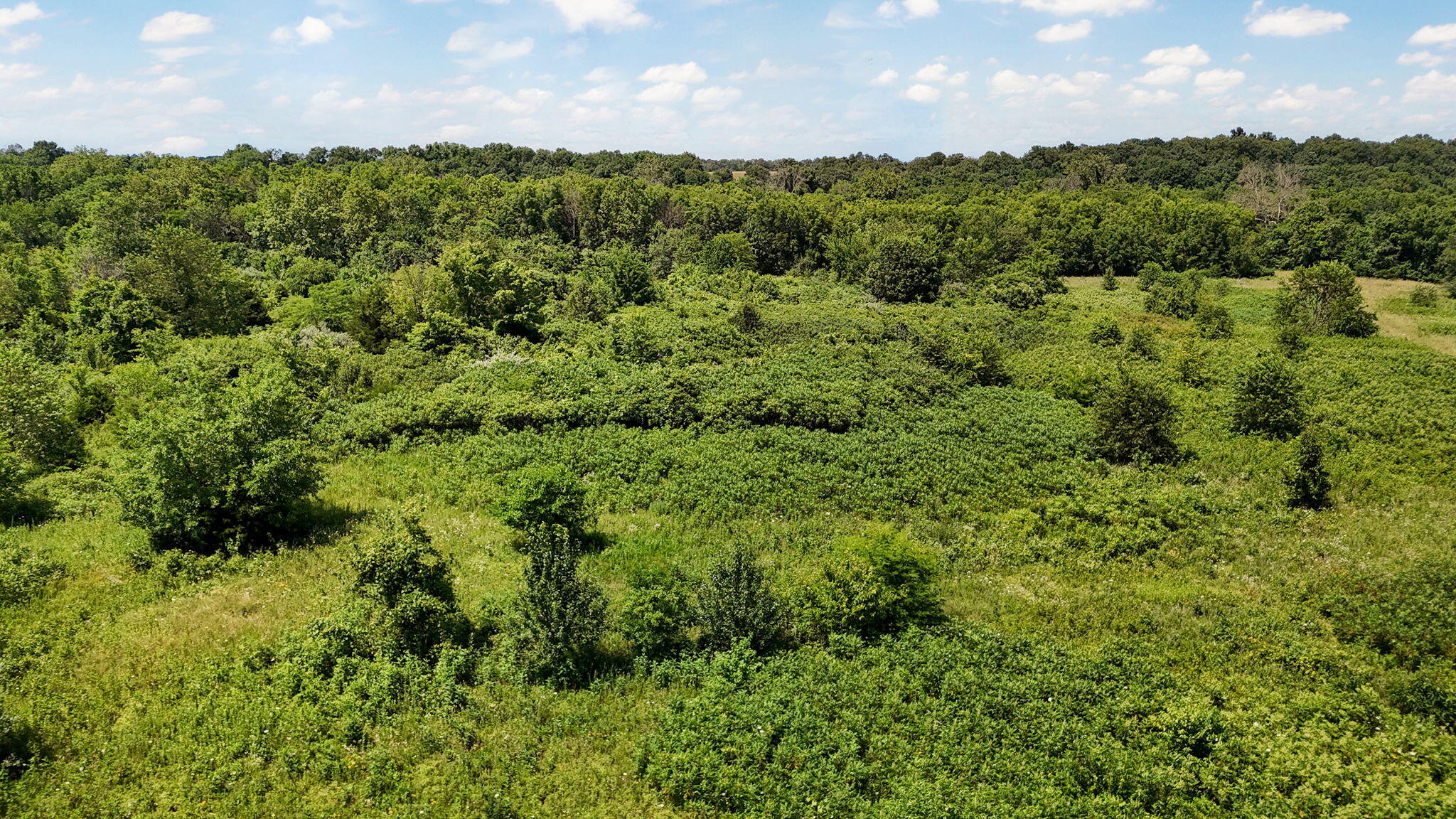 Tbd Highway V Property Photo 13