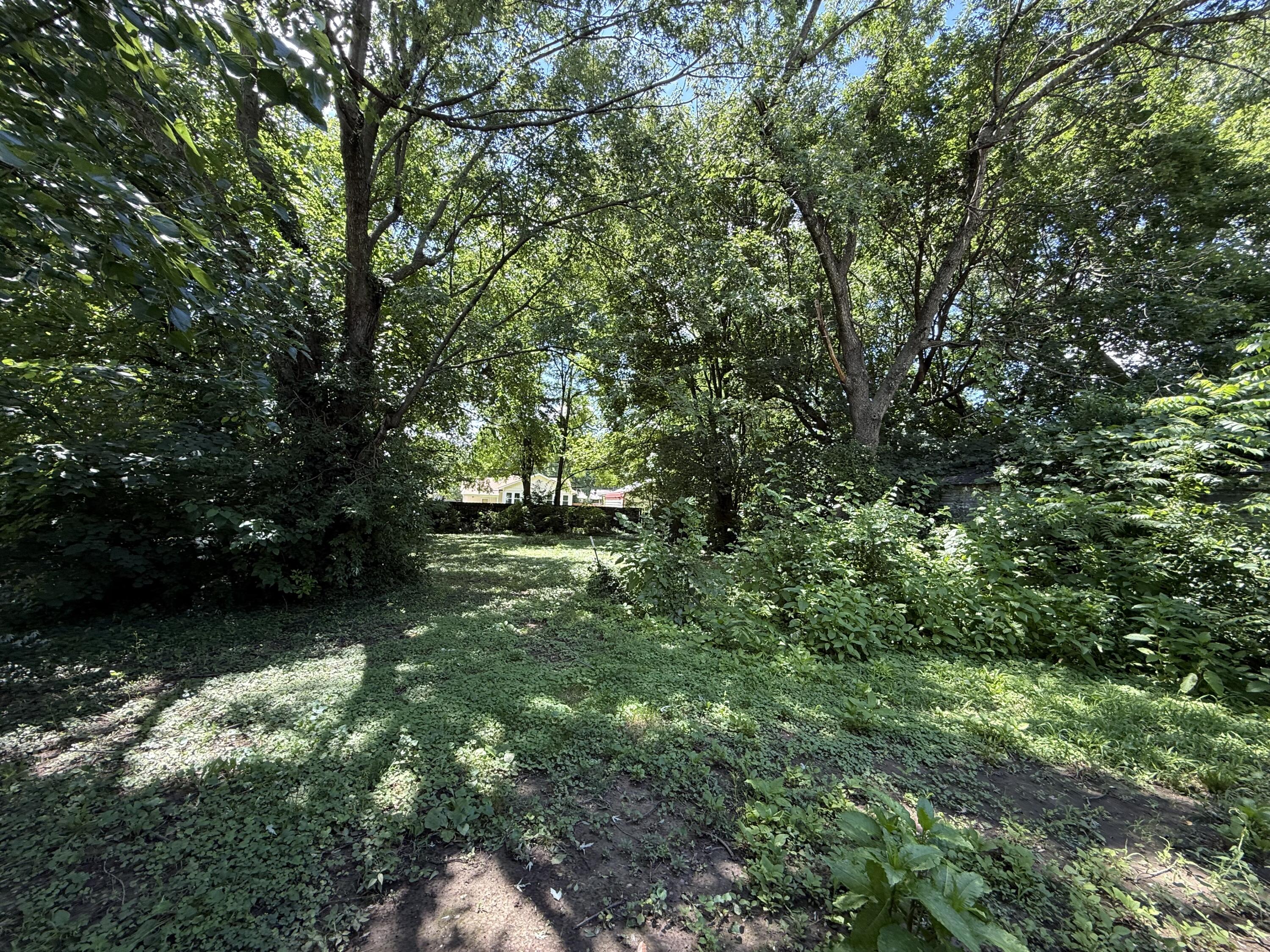 1055 South New Avenue Property Photo 15