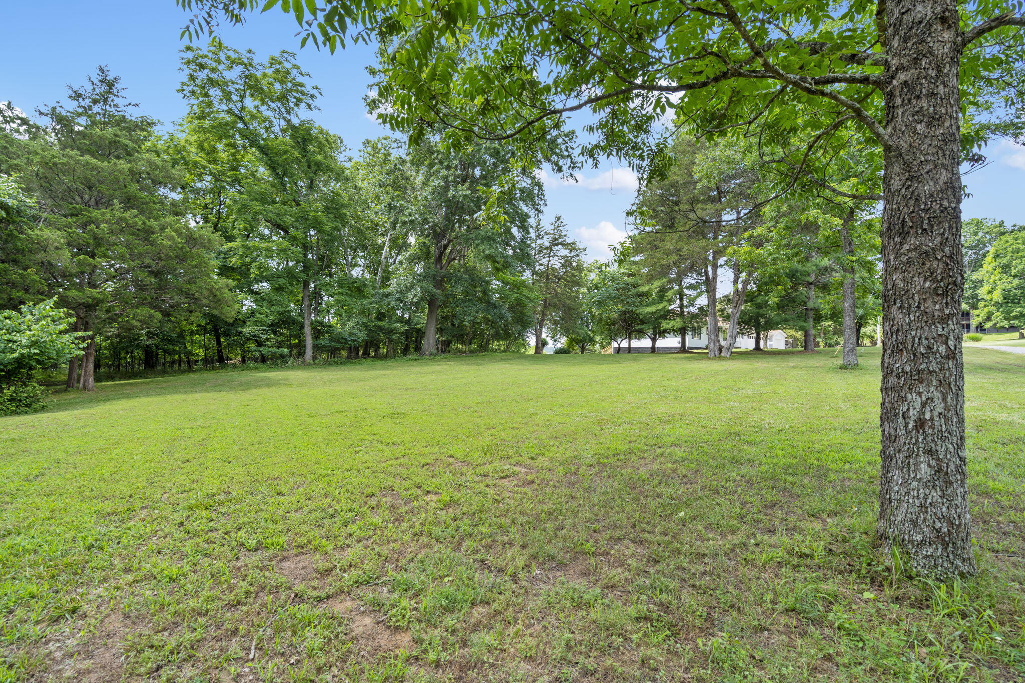 294 Buzzard Cove Property Photo 36