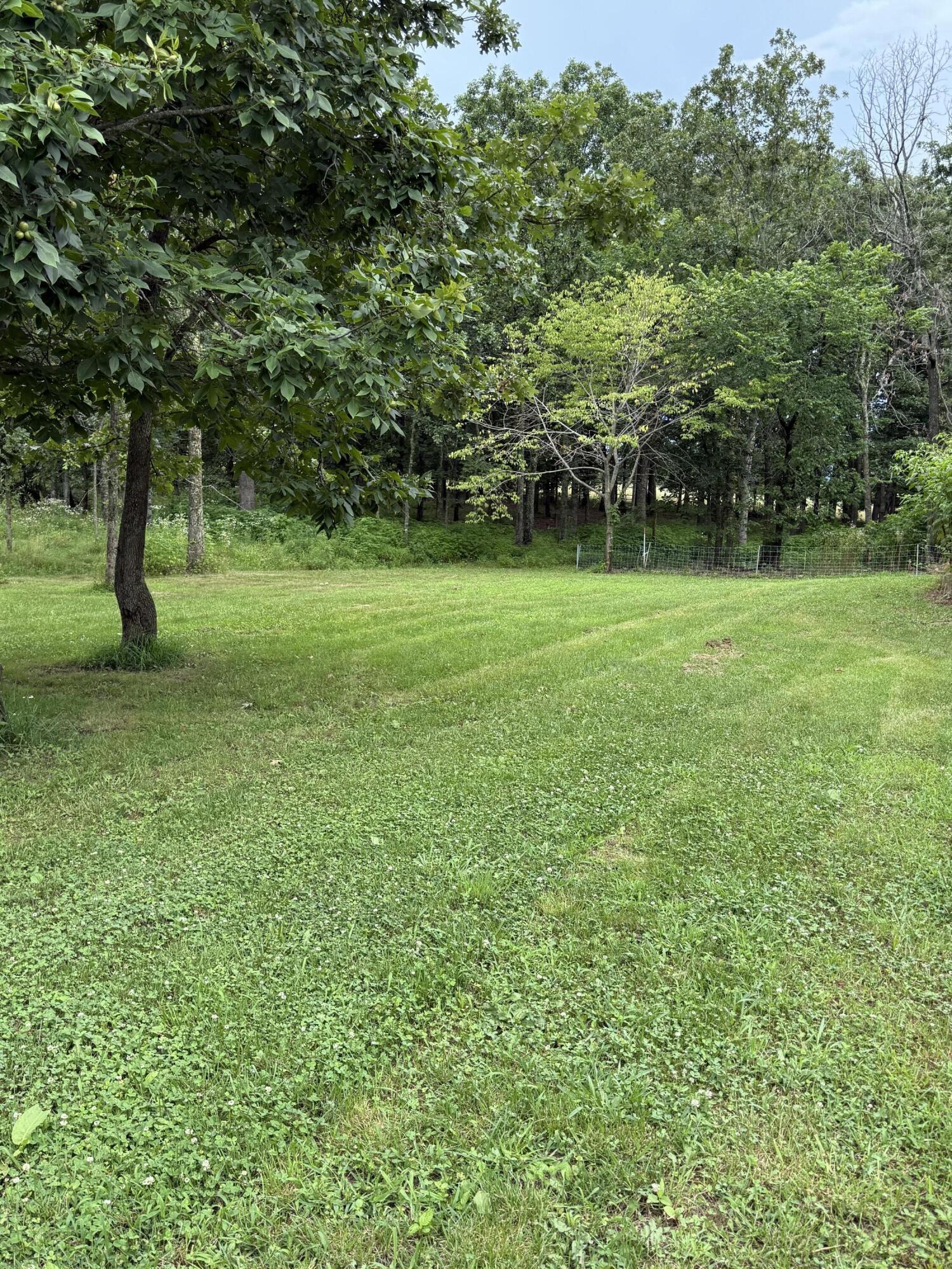 14585 Highway Aw Property Photo 28