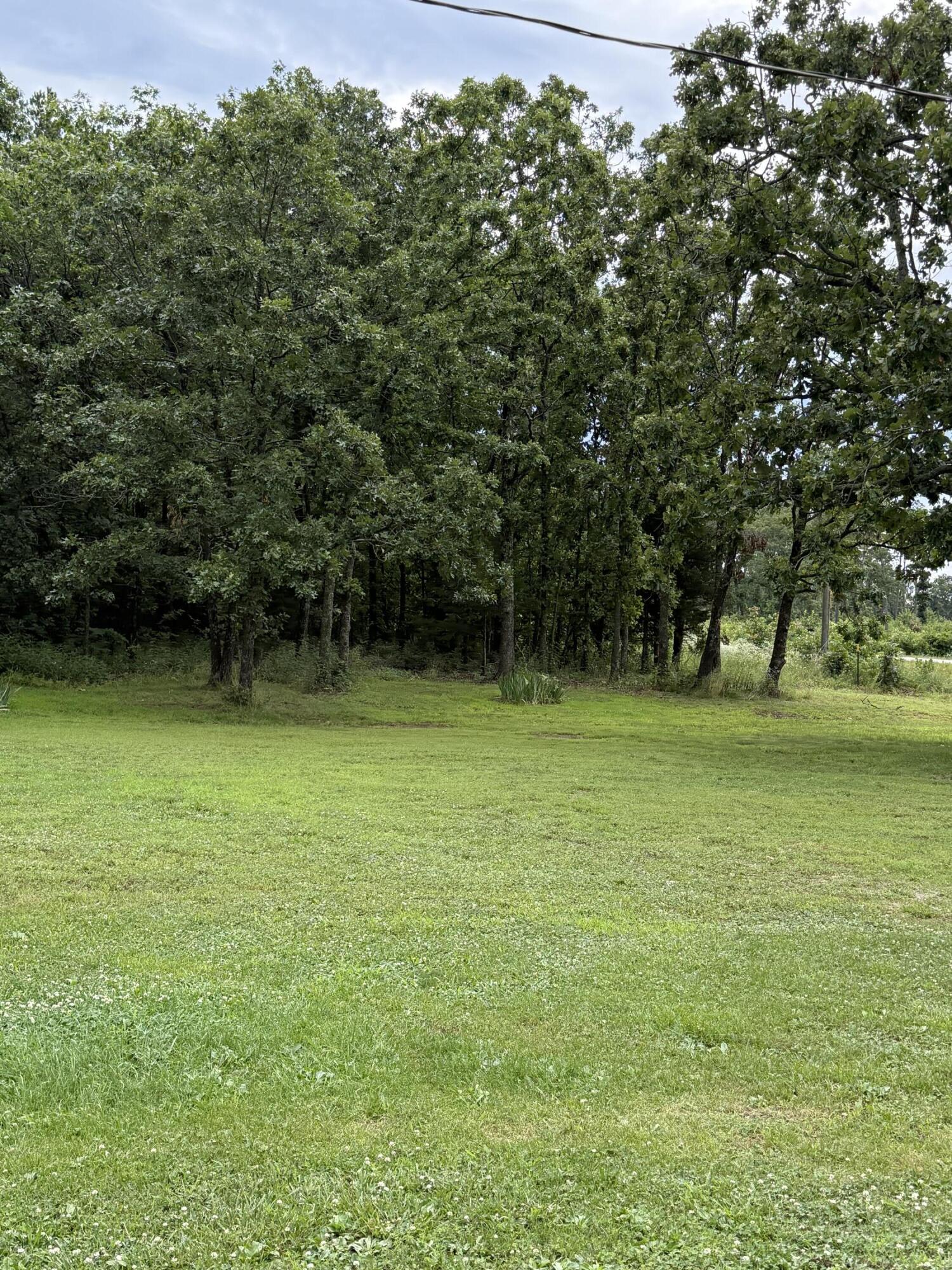 14585 Highway Aw Property Photo 38