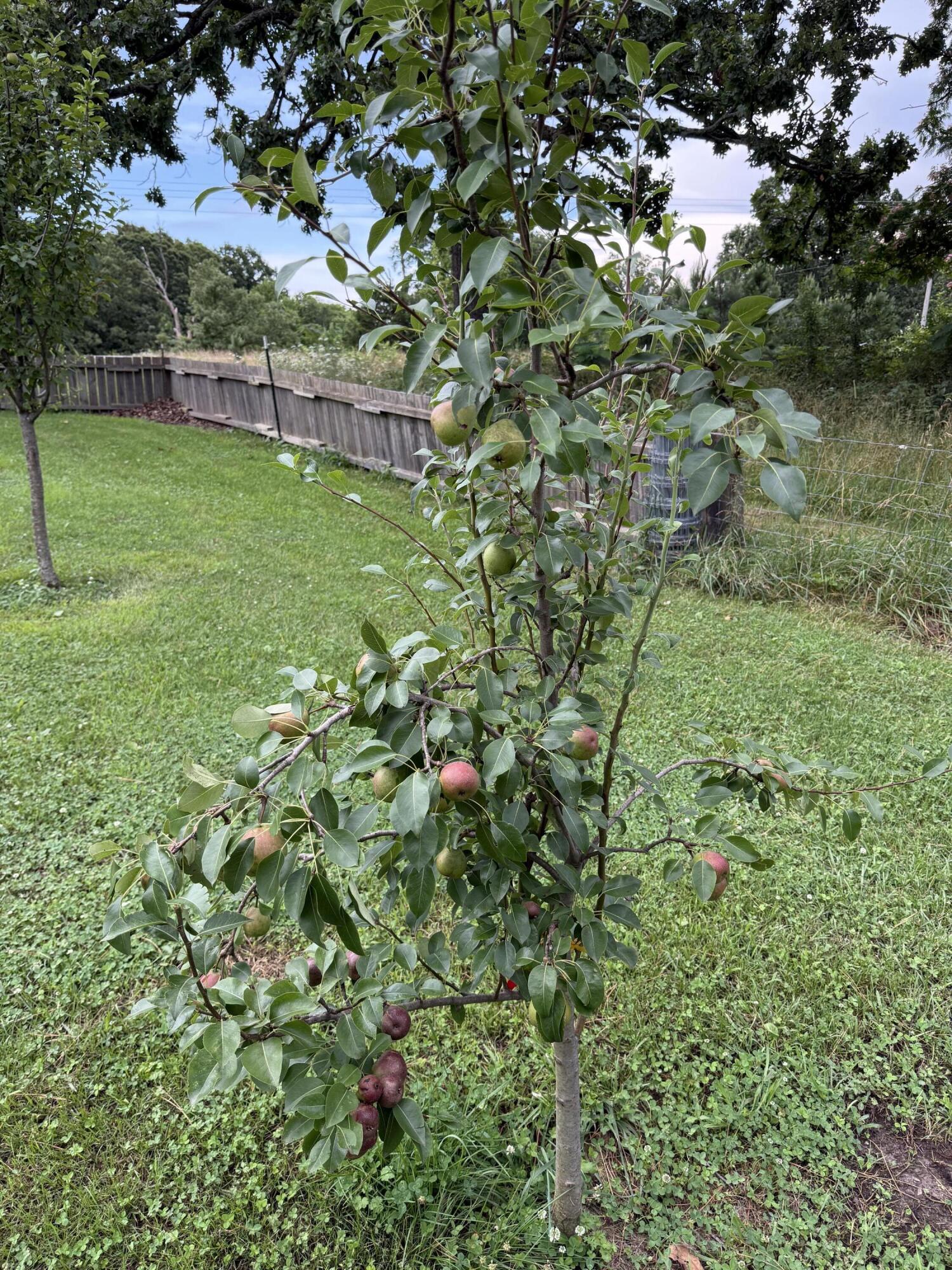 14585 Highway Aw Property Photo 46