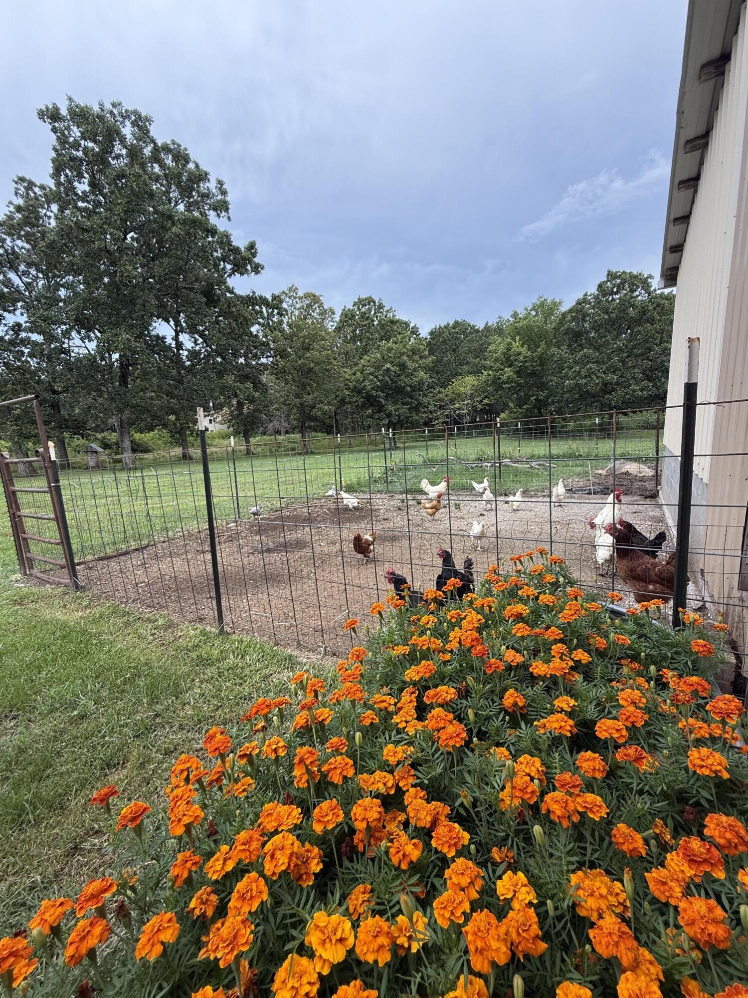 14585 Highway Aw Property Photo 48