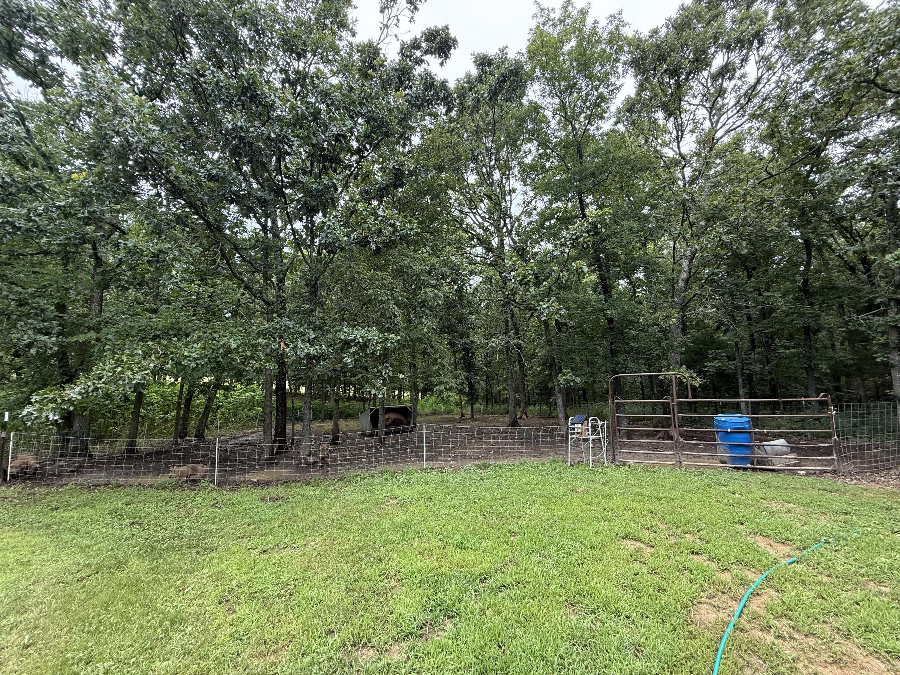 14585 Highway Aw Property Photo 50