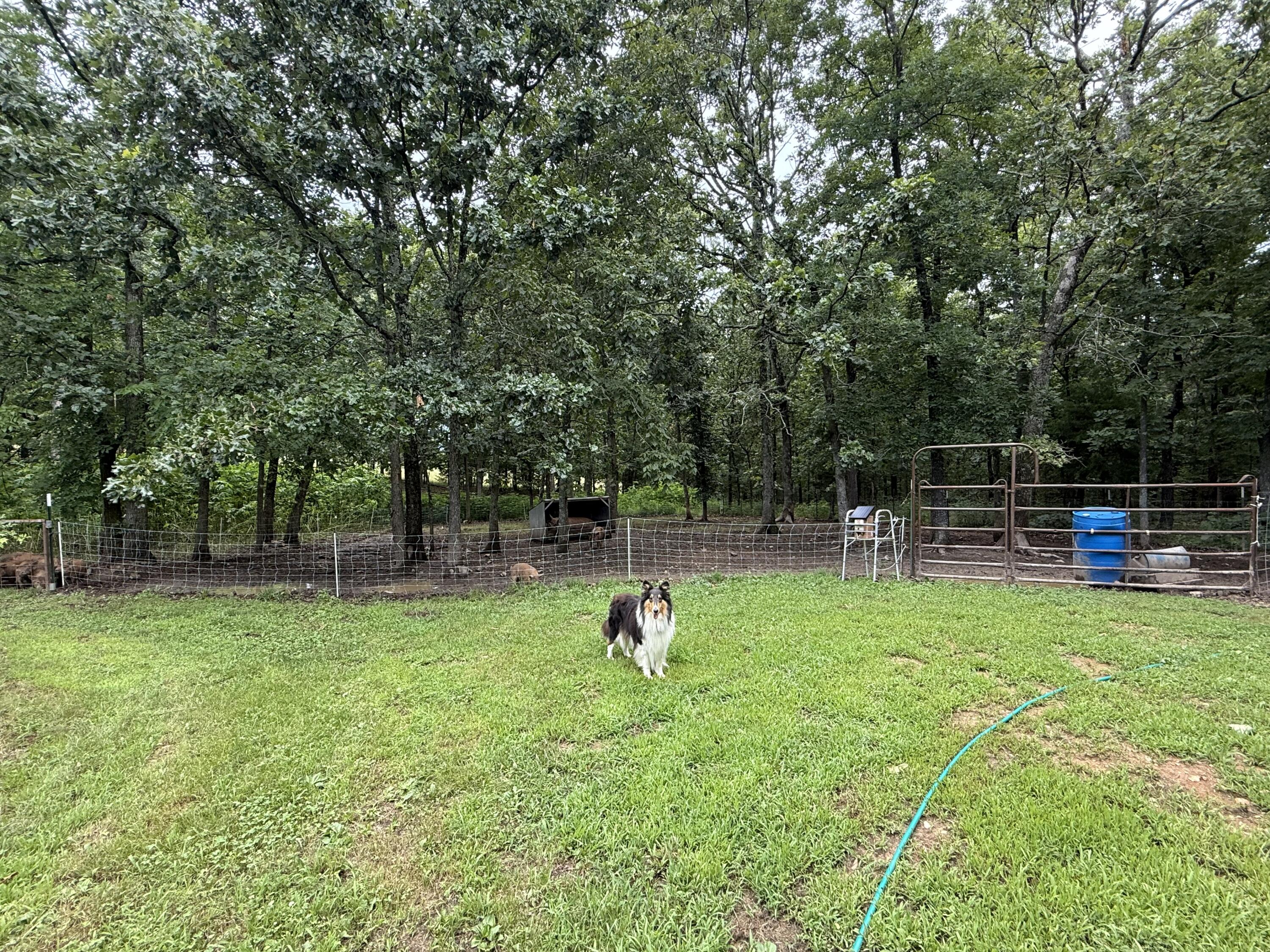 14585 Highway Aw Property Photo 53