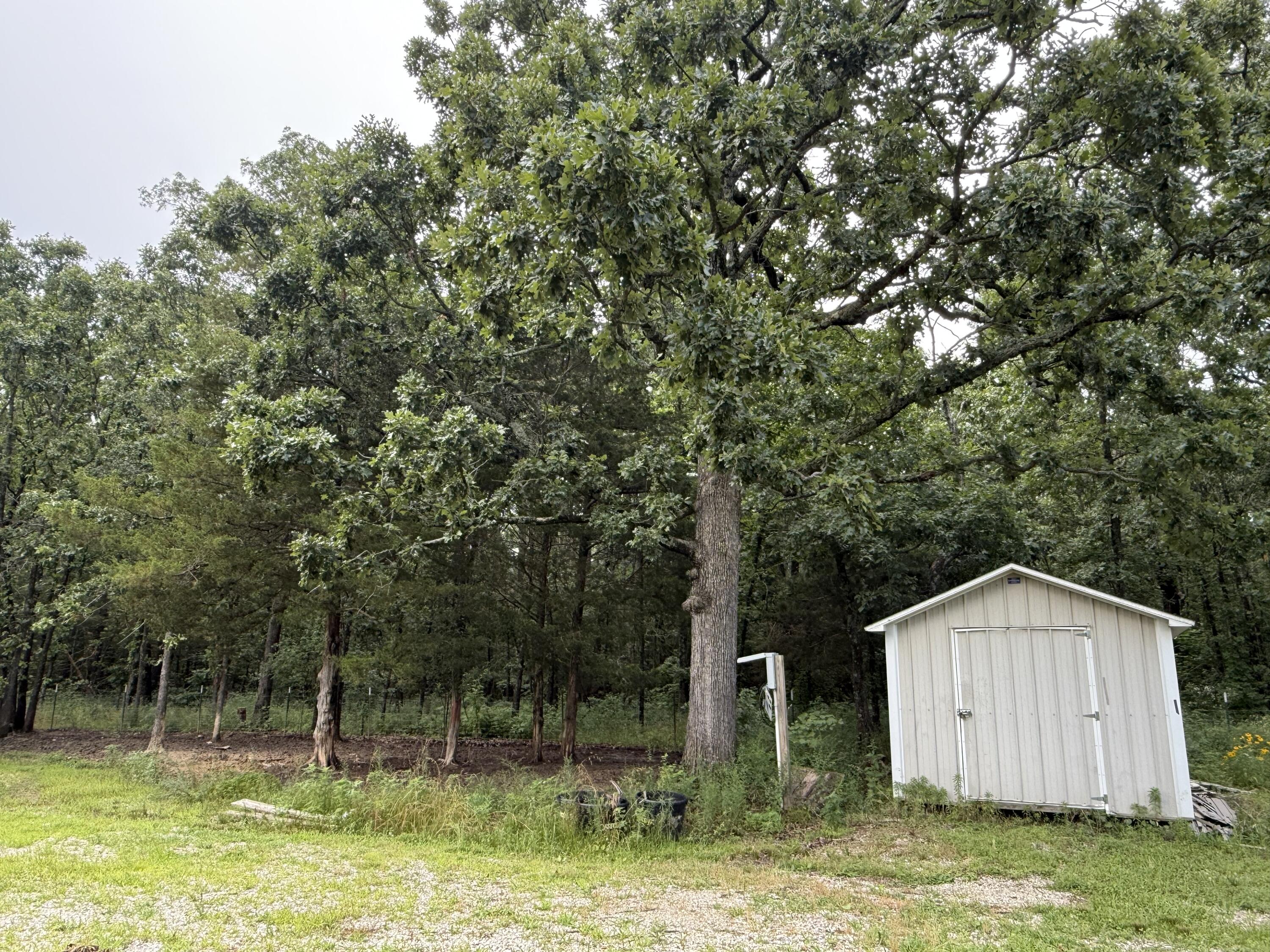 14585 Highway Aw Property Photo 61