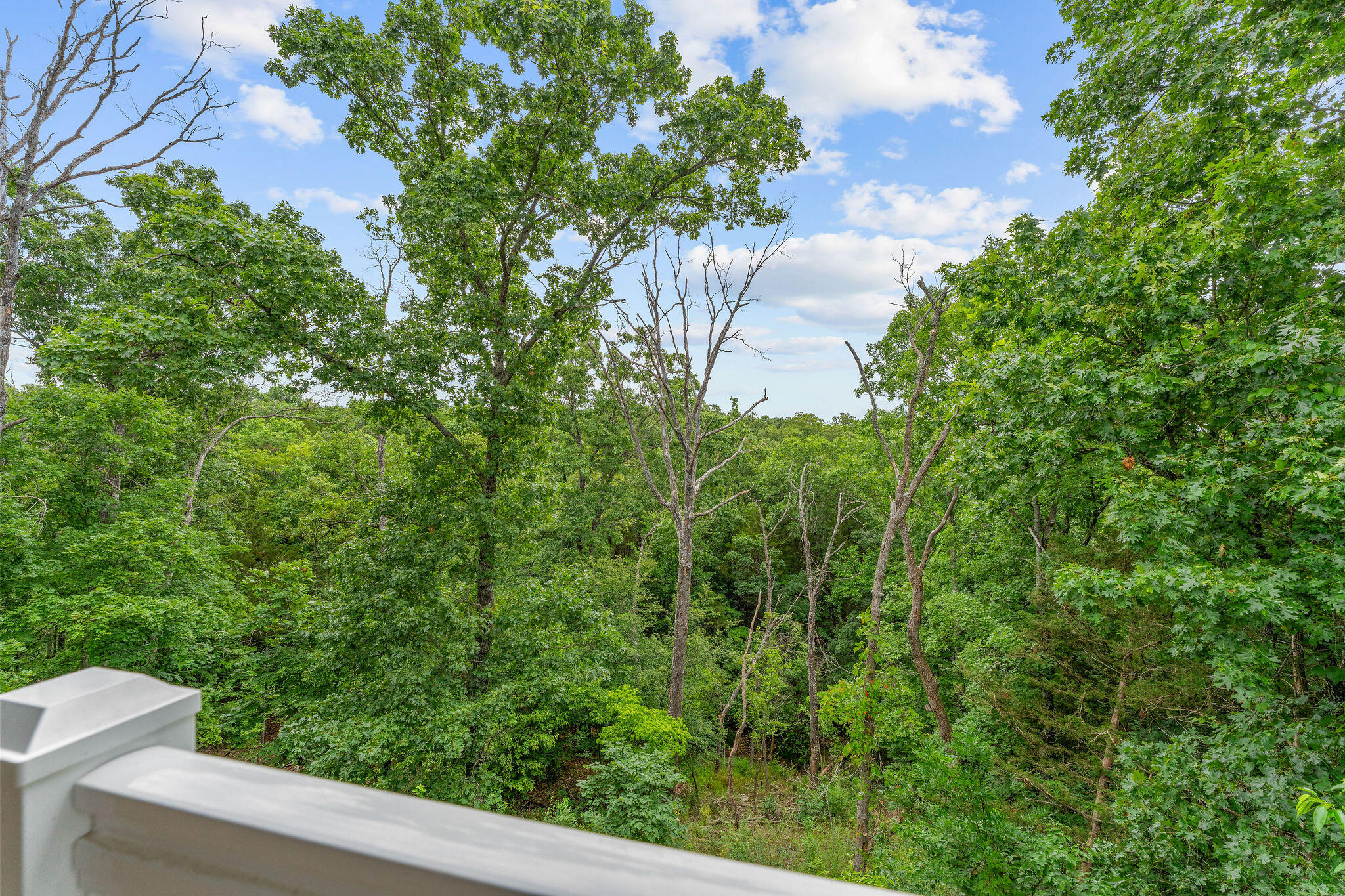 128 Mulligan Court Property Photo 42