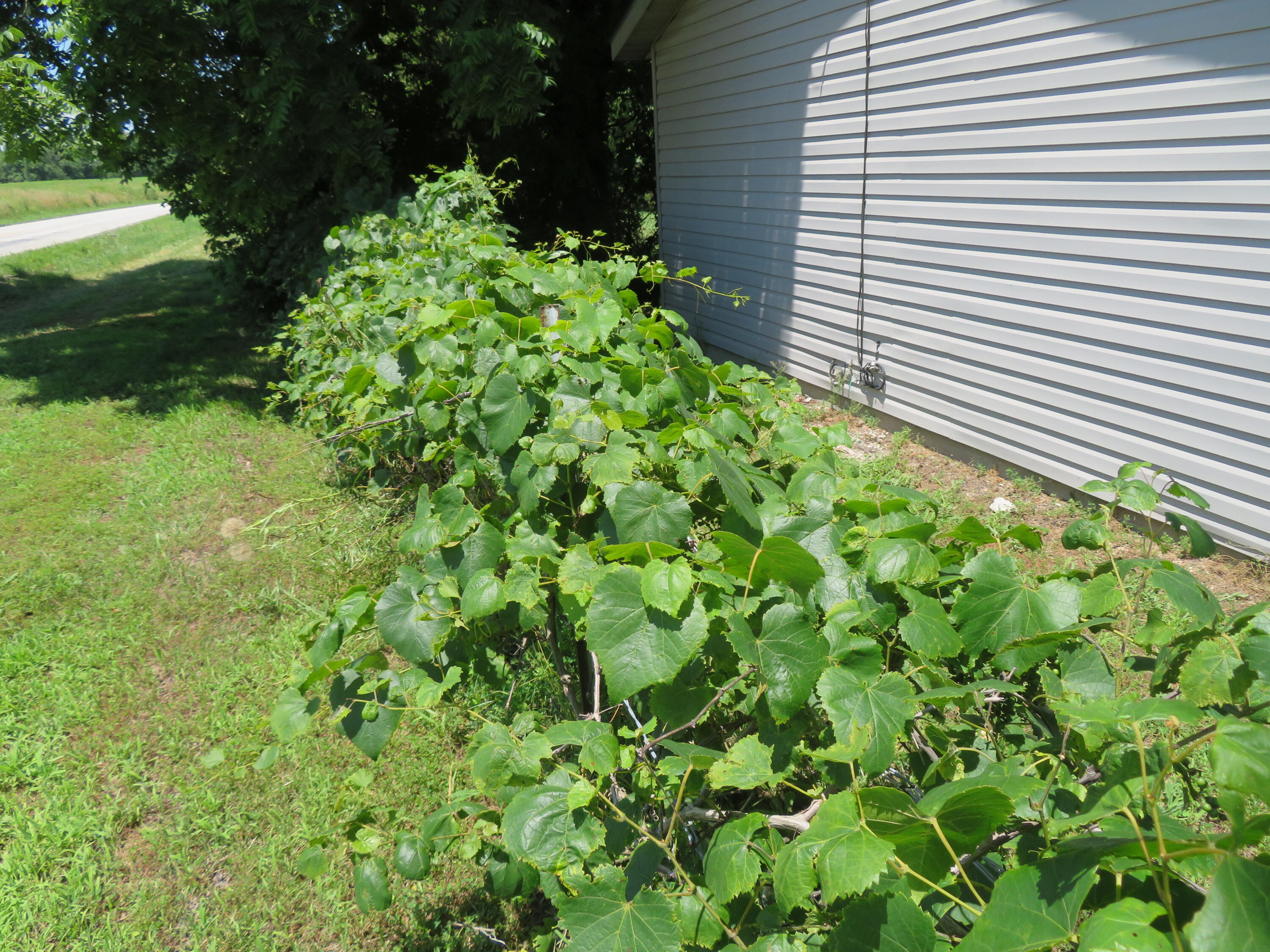 21515 South 215 Highway Property Photo 22