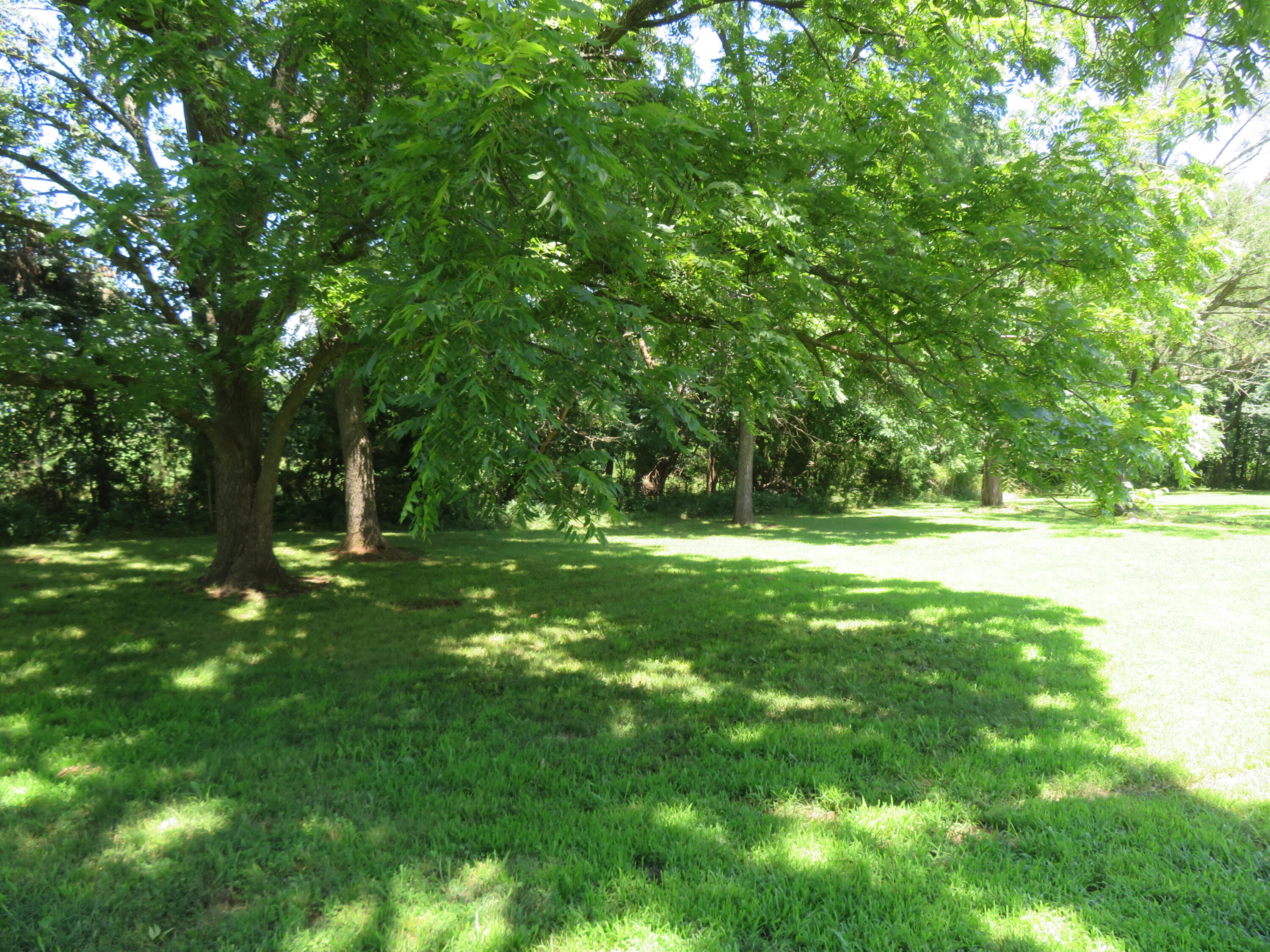 21515 South 215 Highway Property Photo 38