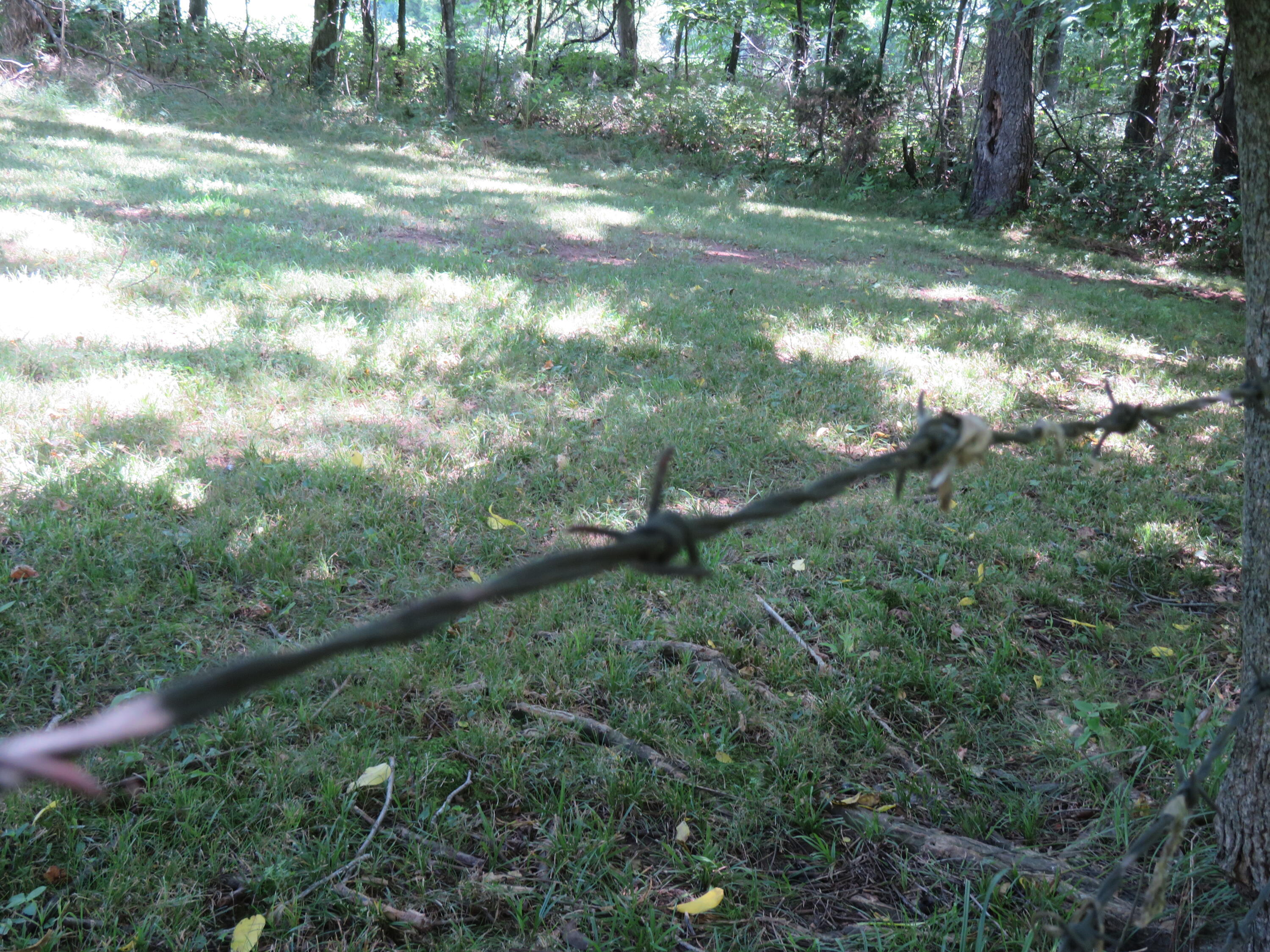 21515 South 215 Highway Property Photo 46