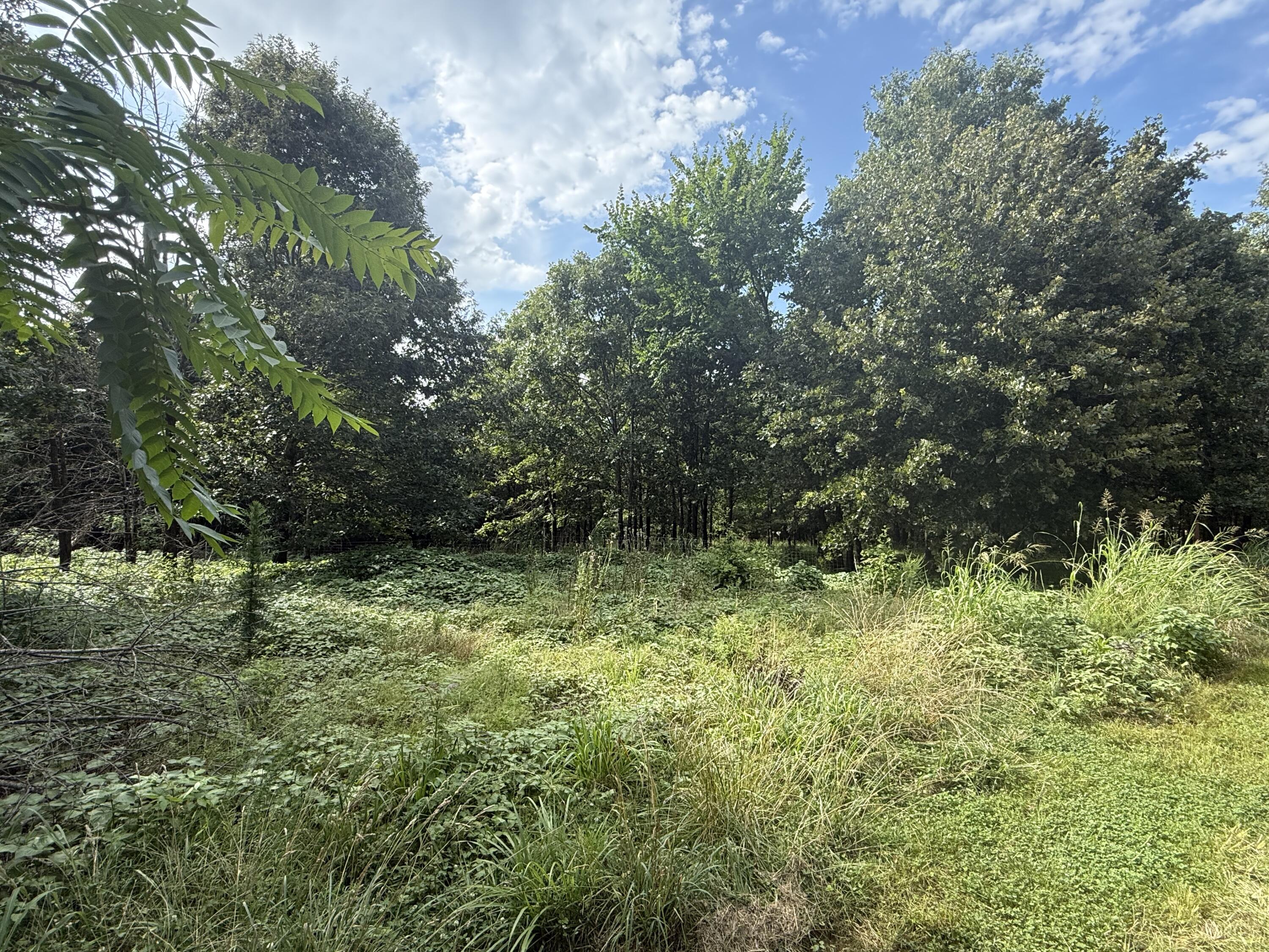 196 Private Road 373-4 Property Photo 5