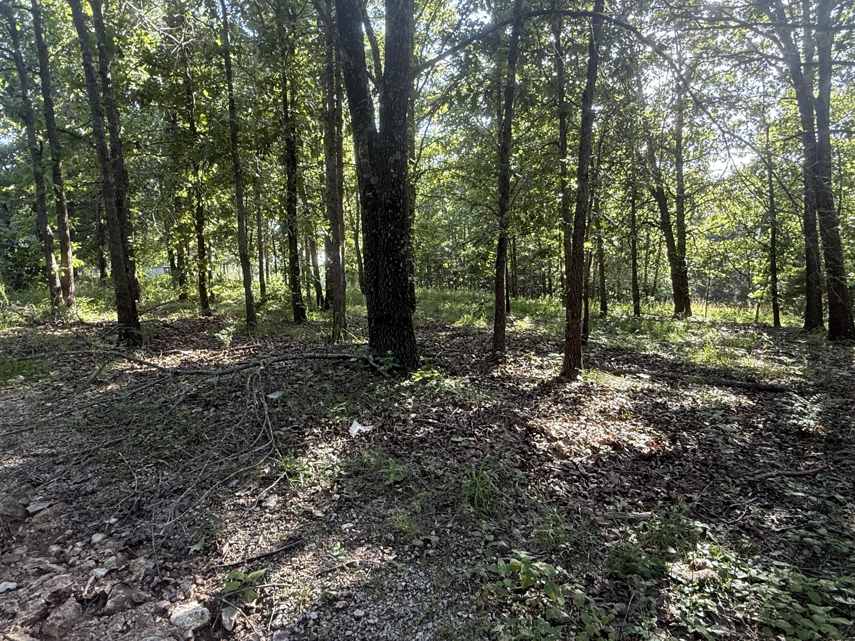 196 Private Road 373-4 Property Photo 10