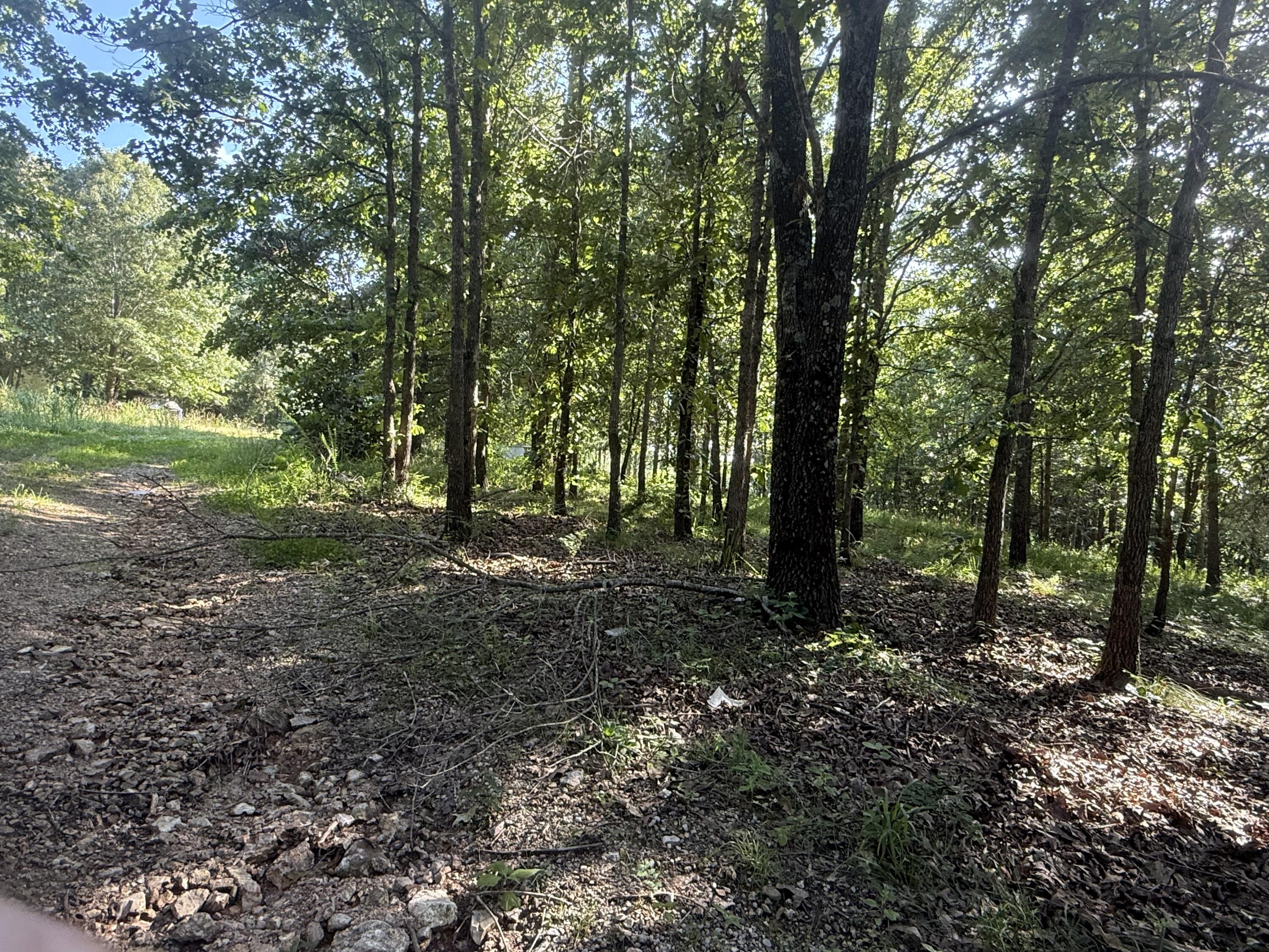 196 Private Road 373-4 Property Photo 11
