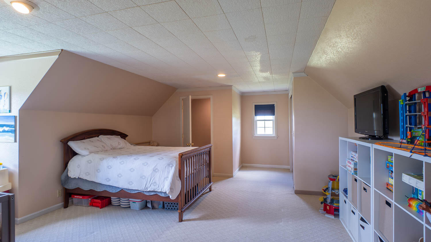243 Tabor Drive Property Photo 27
