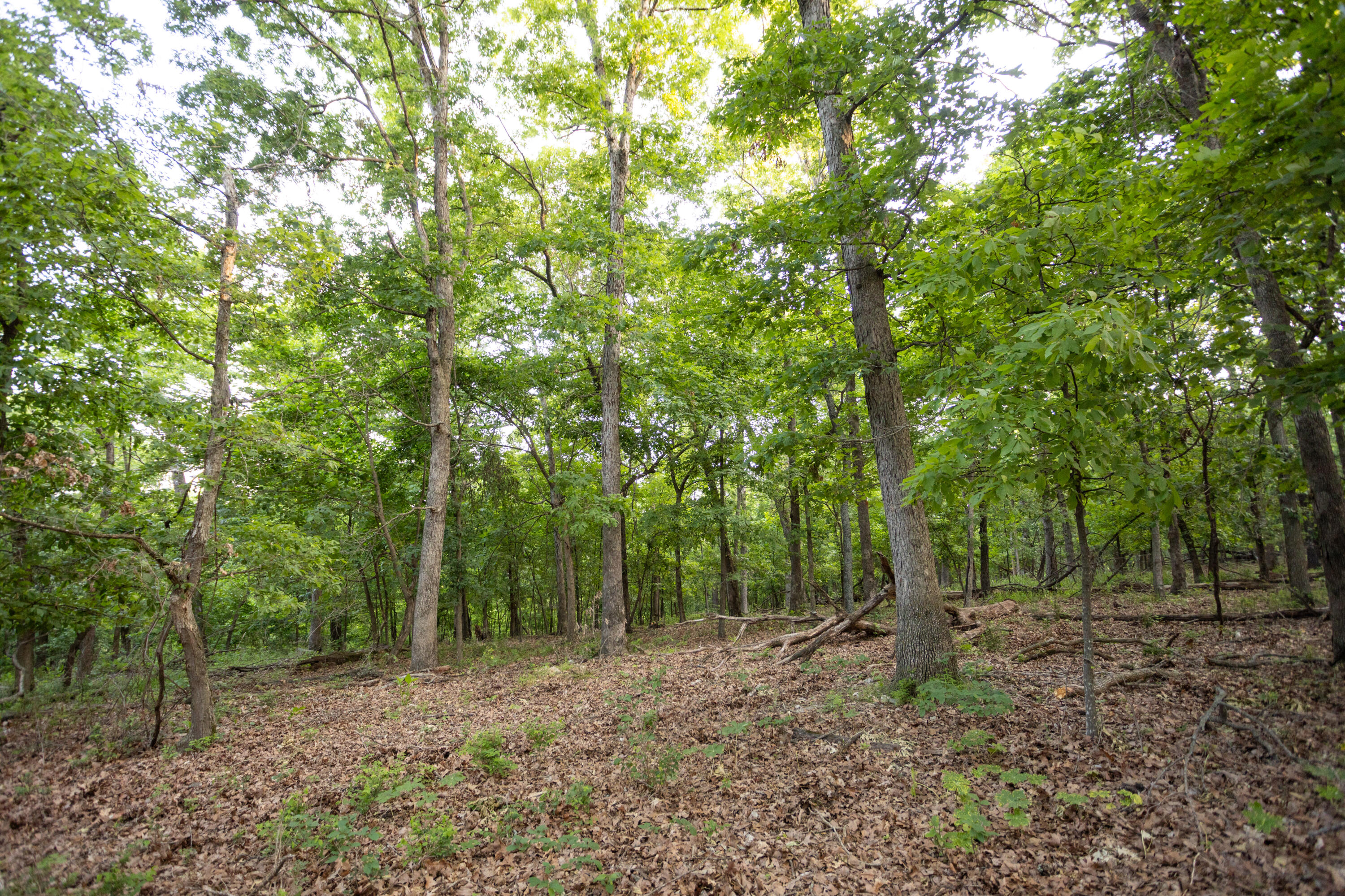 0000 Antelope Road Property Photo 68