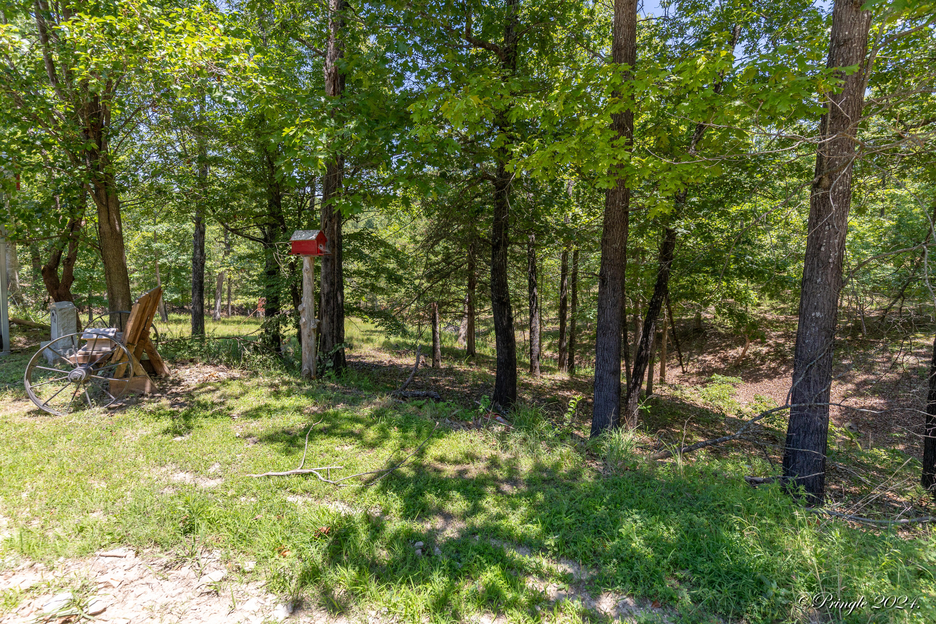 538 Mc 136 Property Photo 4