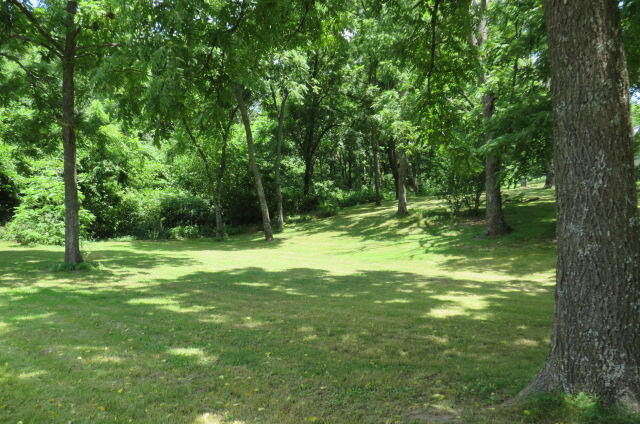 1265 Royal Road Property Photo 4