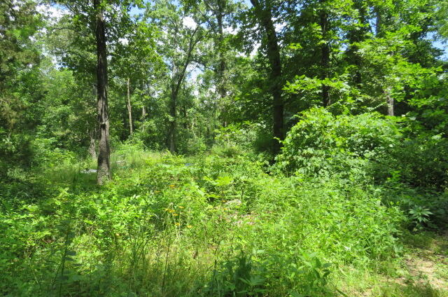 1265 Royal Road Property Photo 50