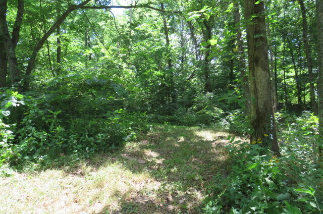 1265 Royal Road Property Photo 51