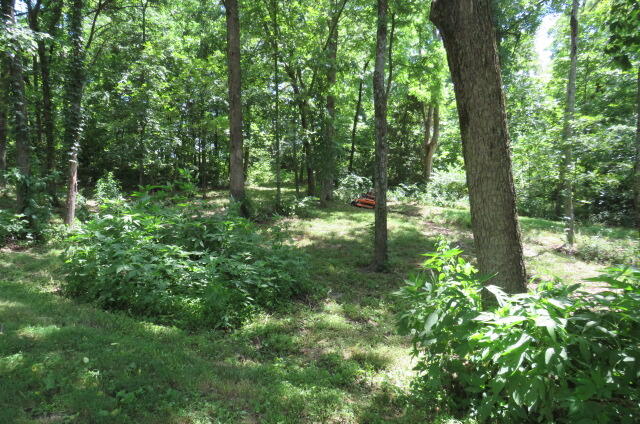 1265 Royal Road Property Photo 52