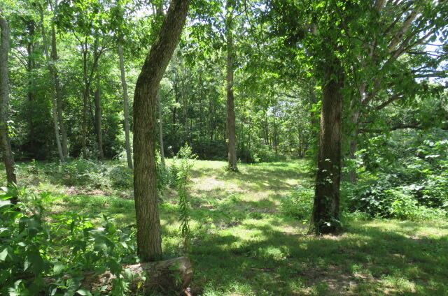 1265 Royal Road Property Photo 53