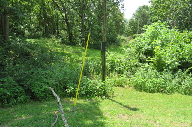 1265 Royal Road Property Photo 55