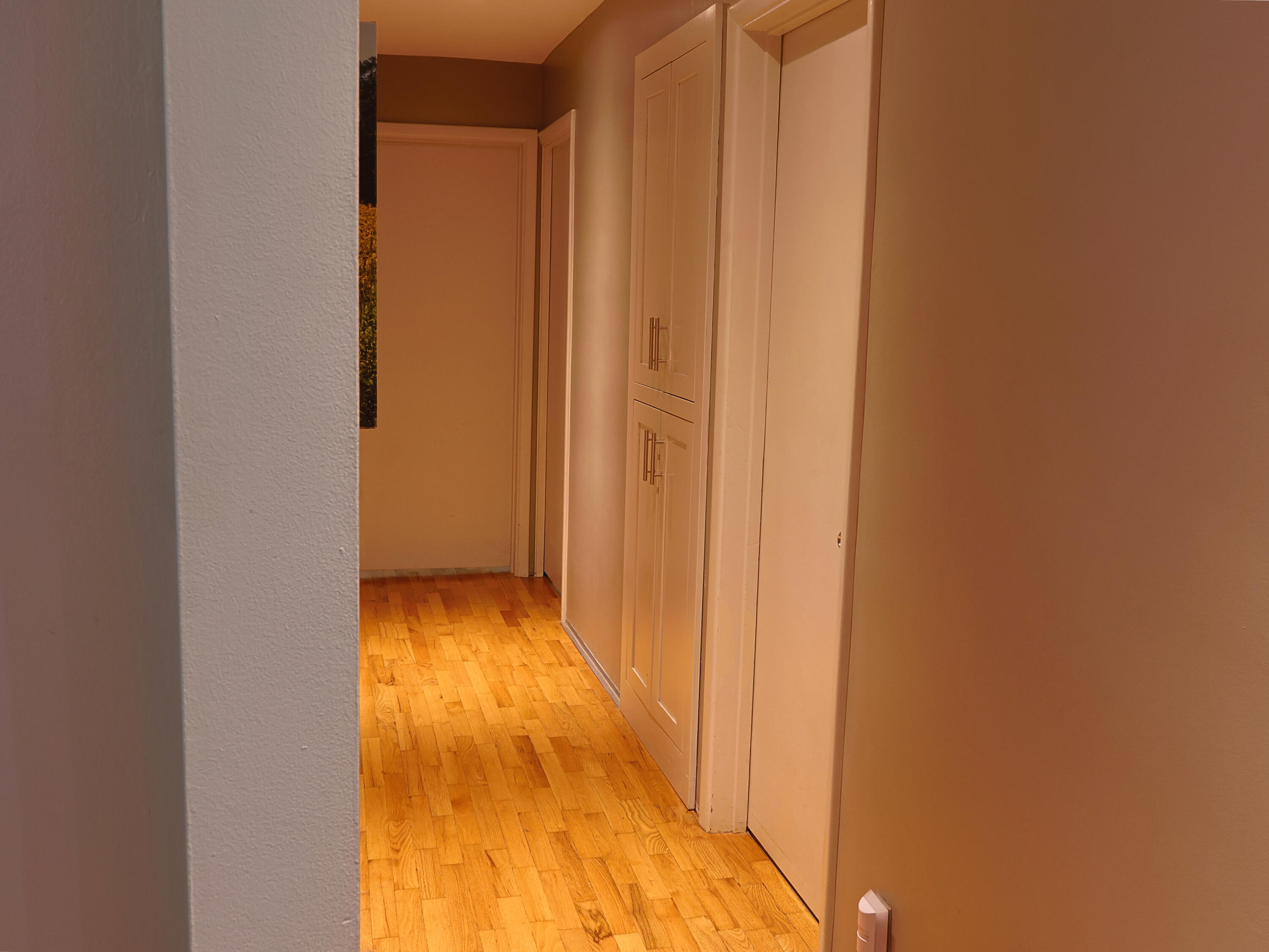 848 South Kickapoo Avenue Property Photo 25