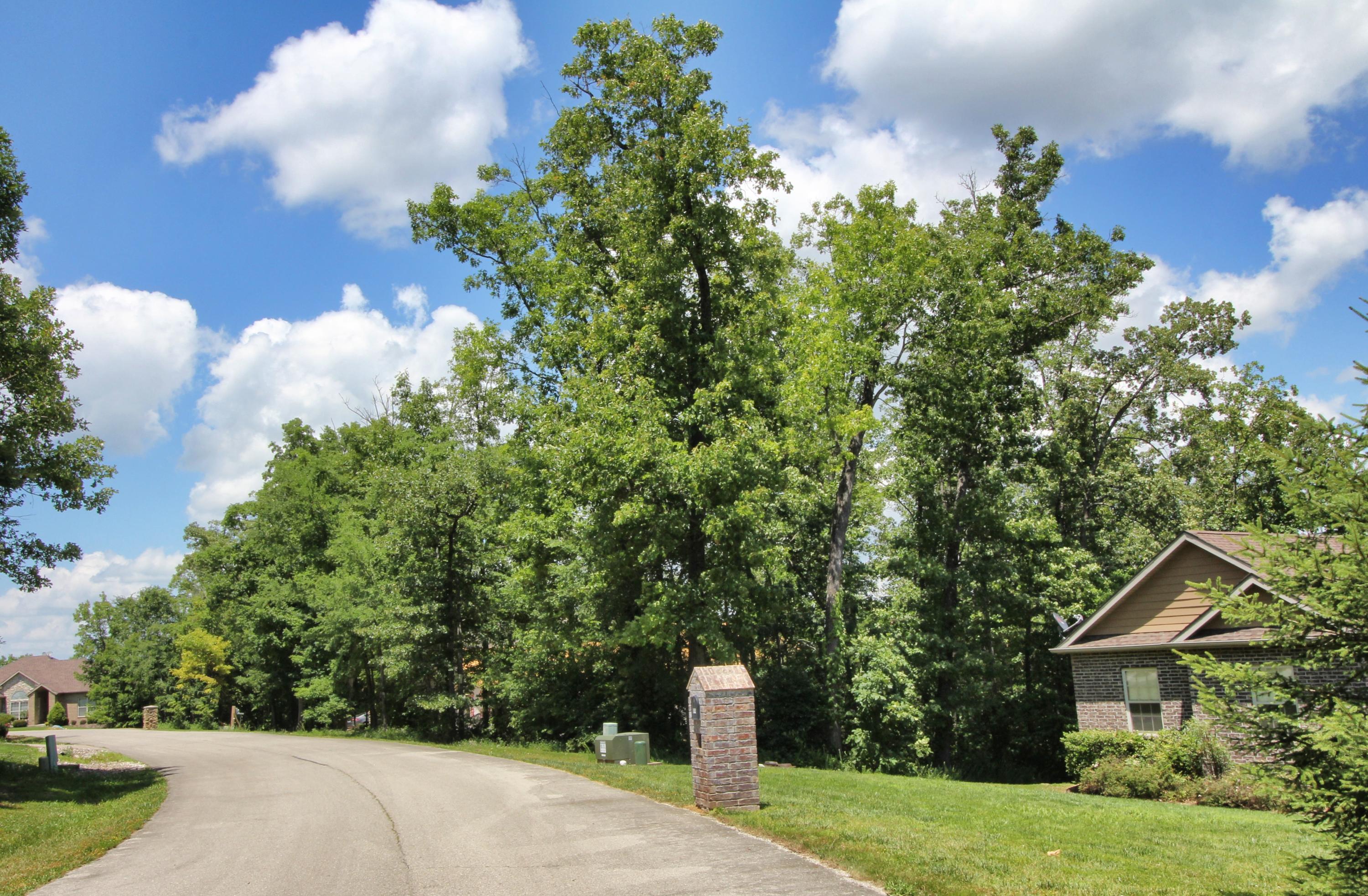 Lot 37 Crossing Drive Property Photo 1