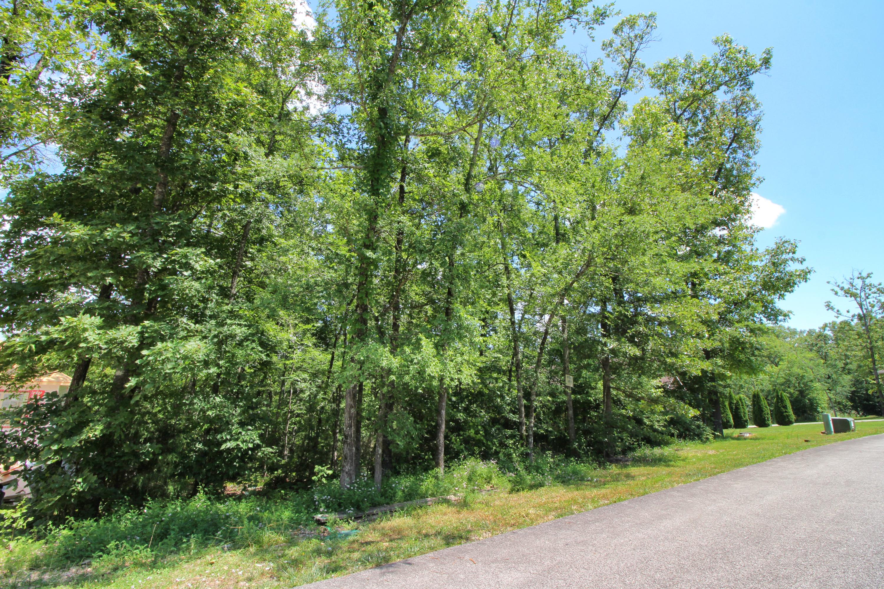 Lot 37 Crossing Drive Property Photo 2