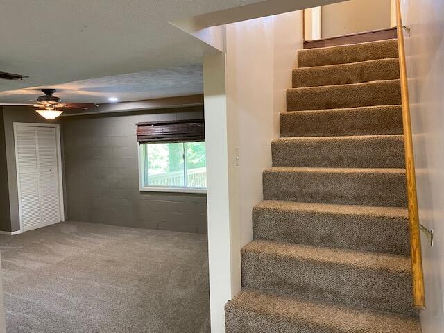41 Skyline Drive Property Photo 16