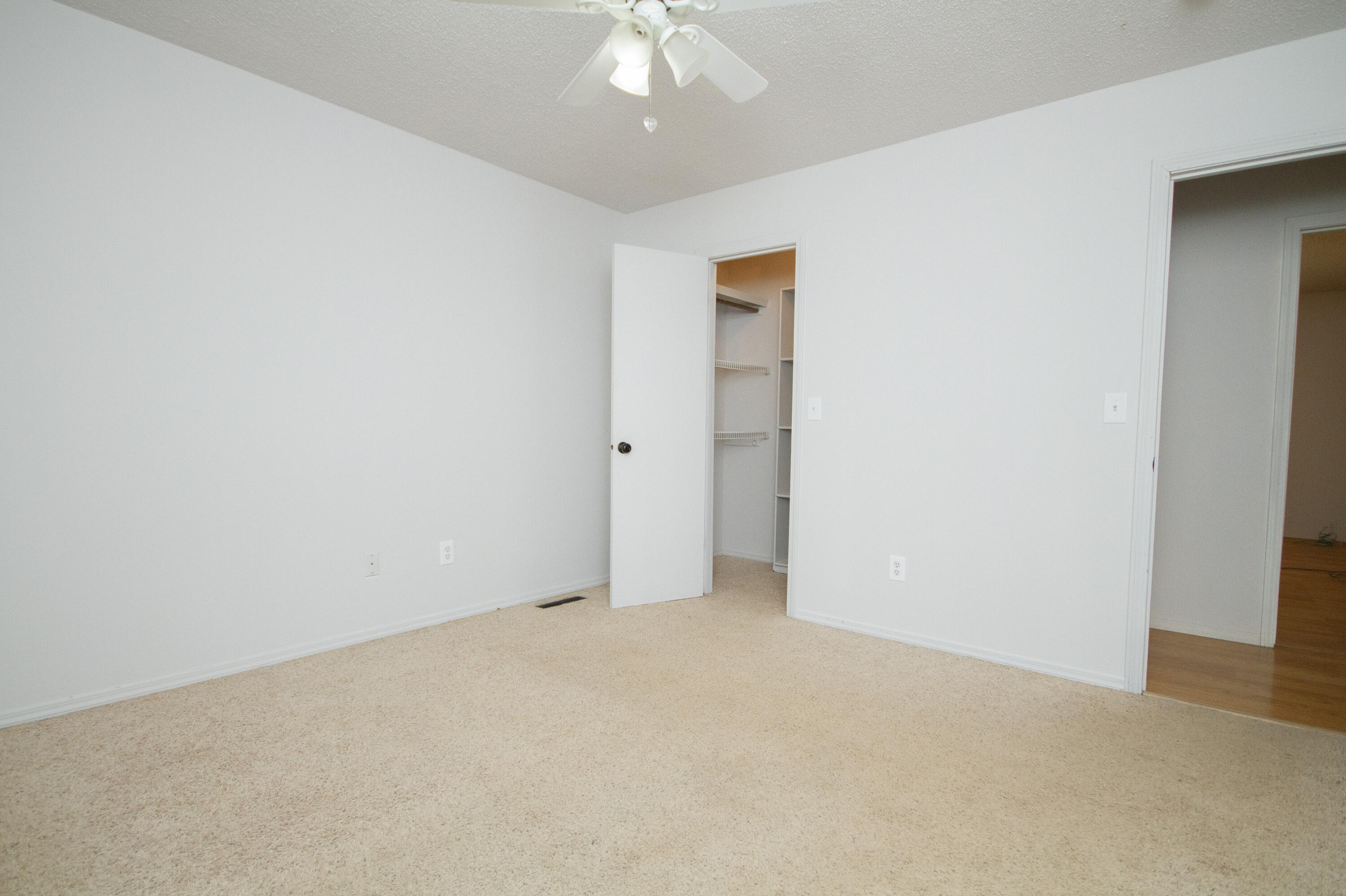 312 Raintree Street Property Photo 23