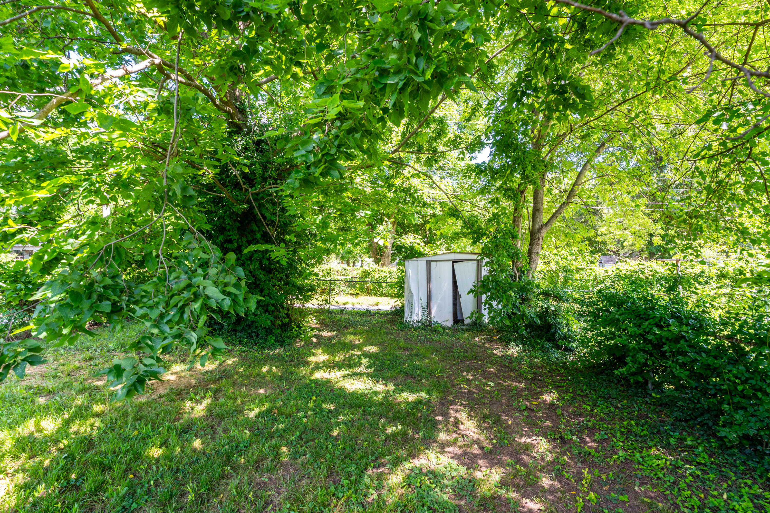 1107 West Nichols Street Property Photo 5
