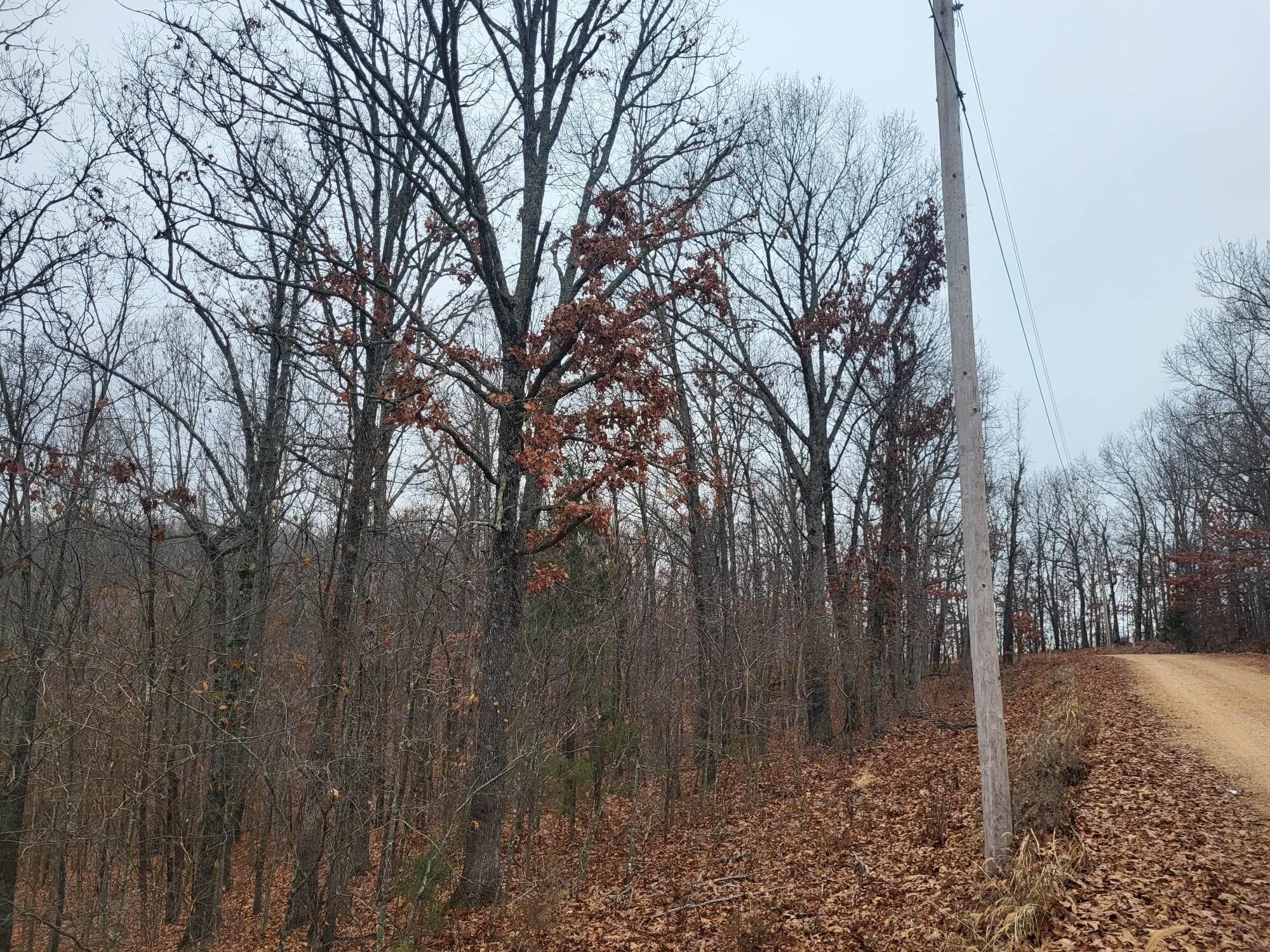 Tbd County Road East 76-211 Property Photo 1