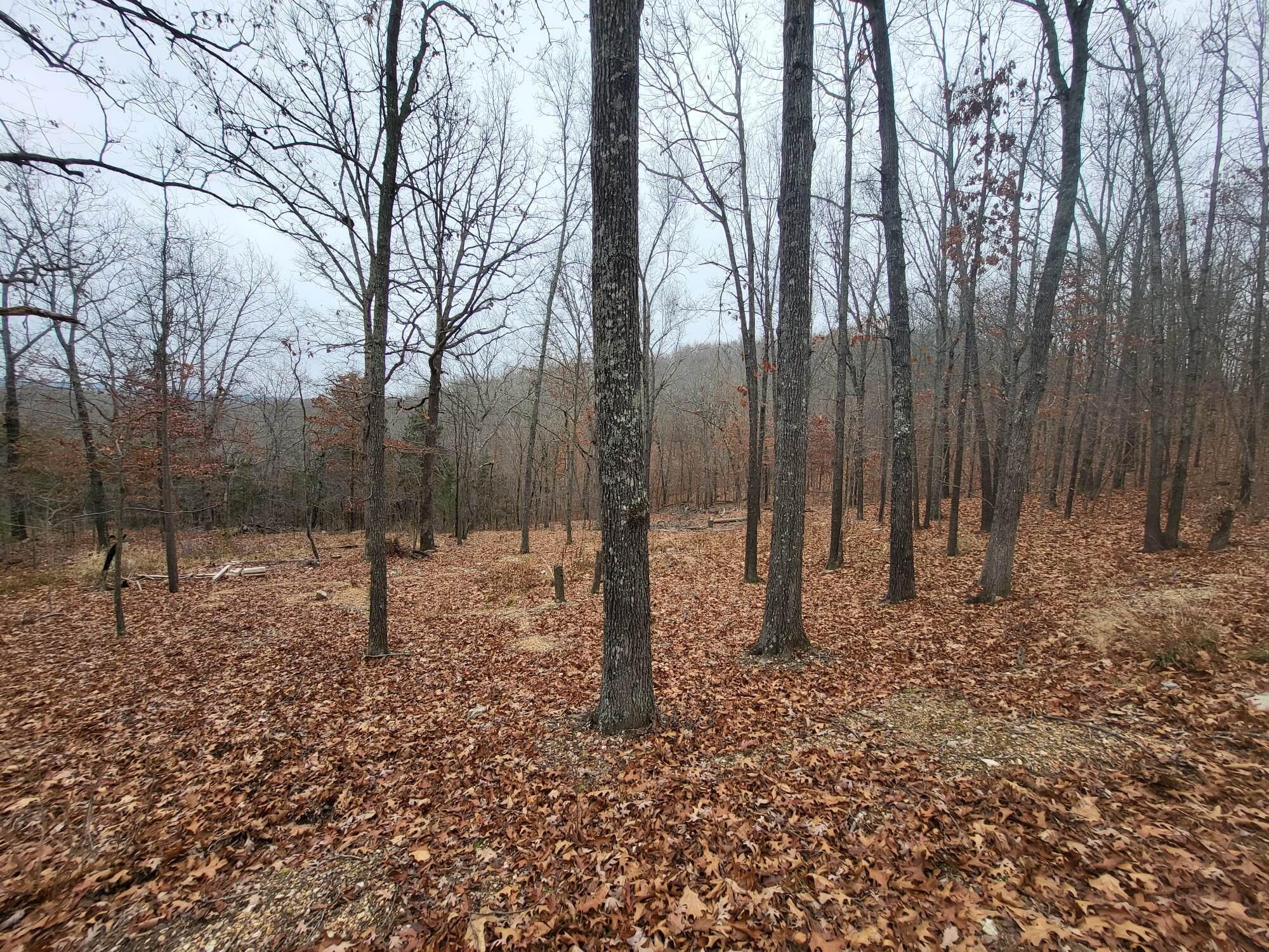 Tbd County Road East 76-211 Property Photo 5