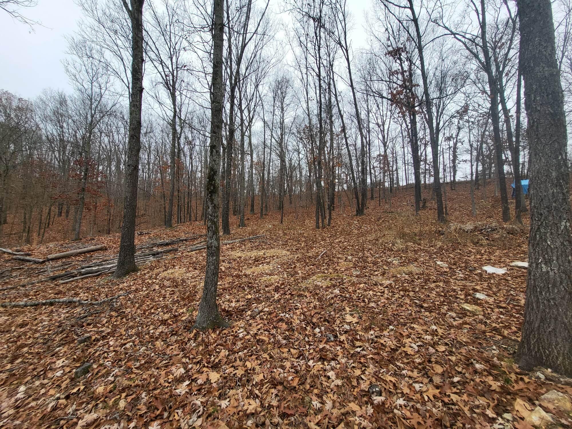 Tbd County Road East 76-211 Property Photo 6