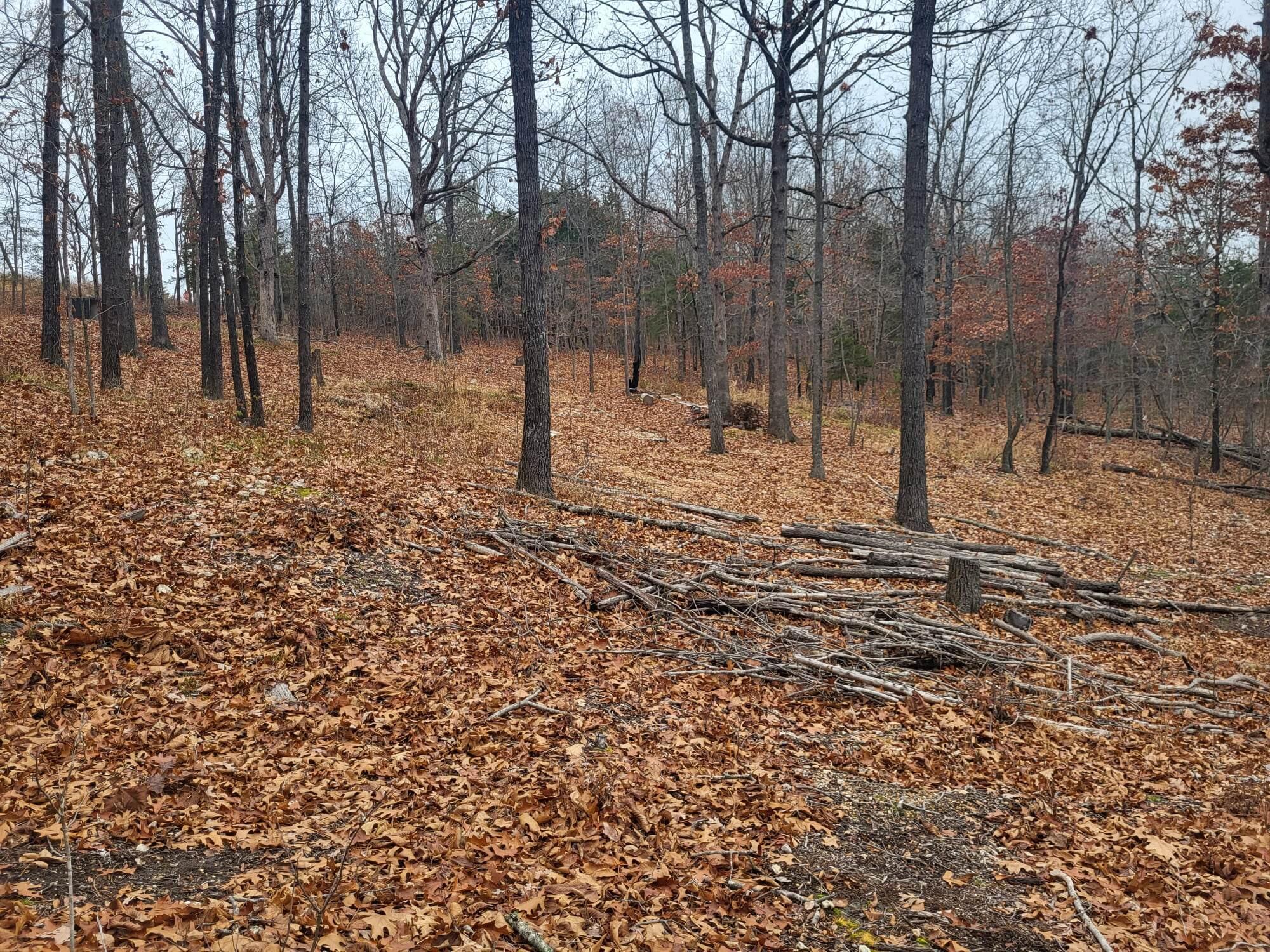 Tbd County Road East 76-211 Property Photo 14