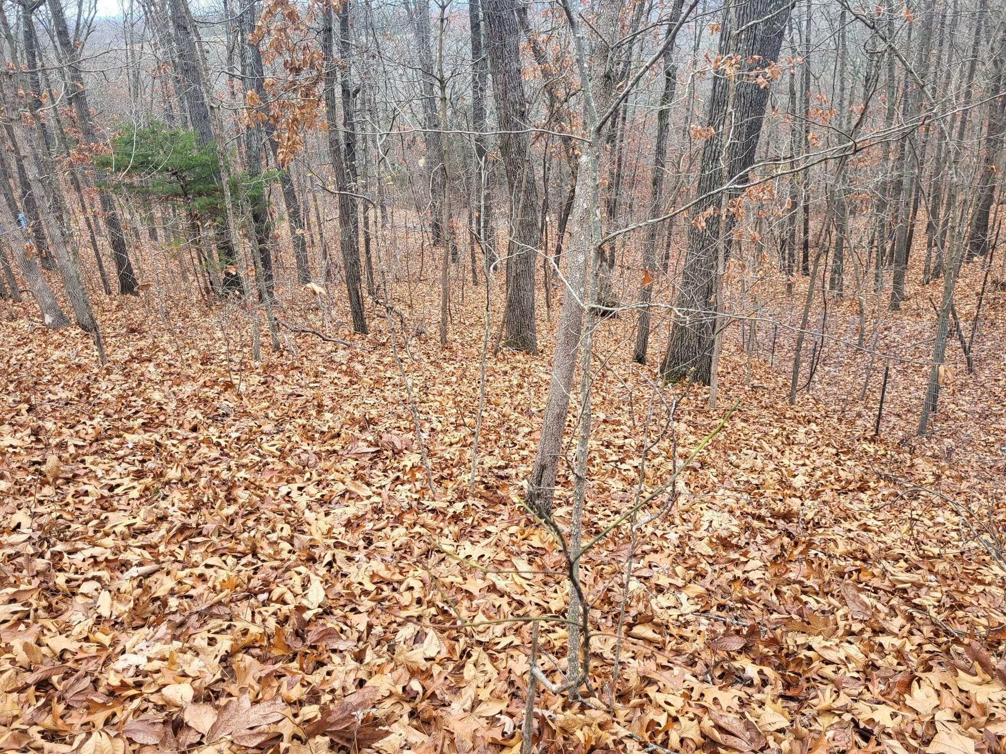 Tbd County Road East 76-211 Property Photo 15