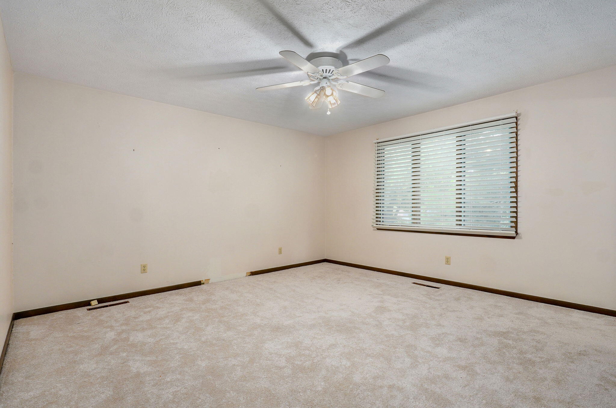 3520 East Carol Drive Property Photo 18