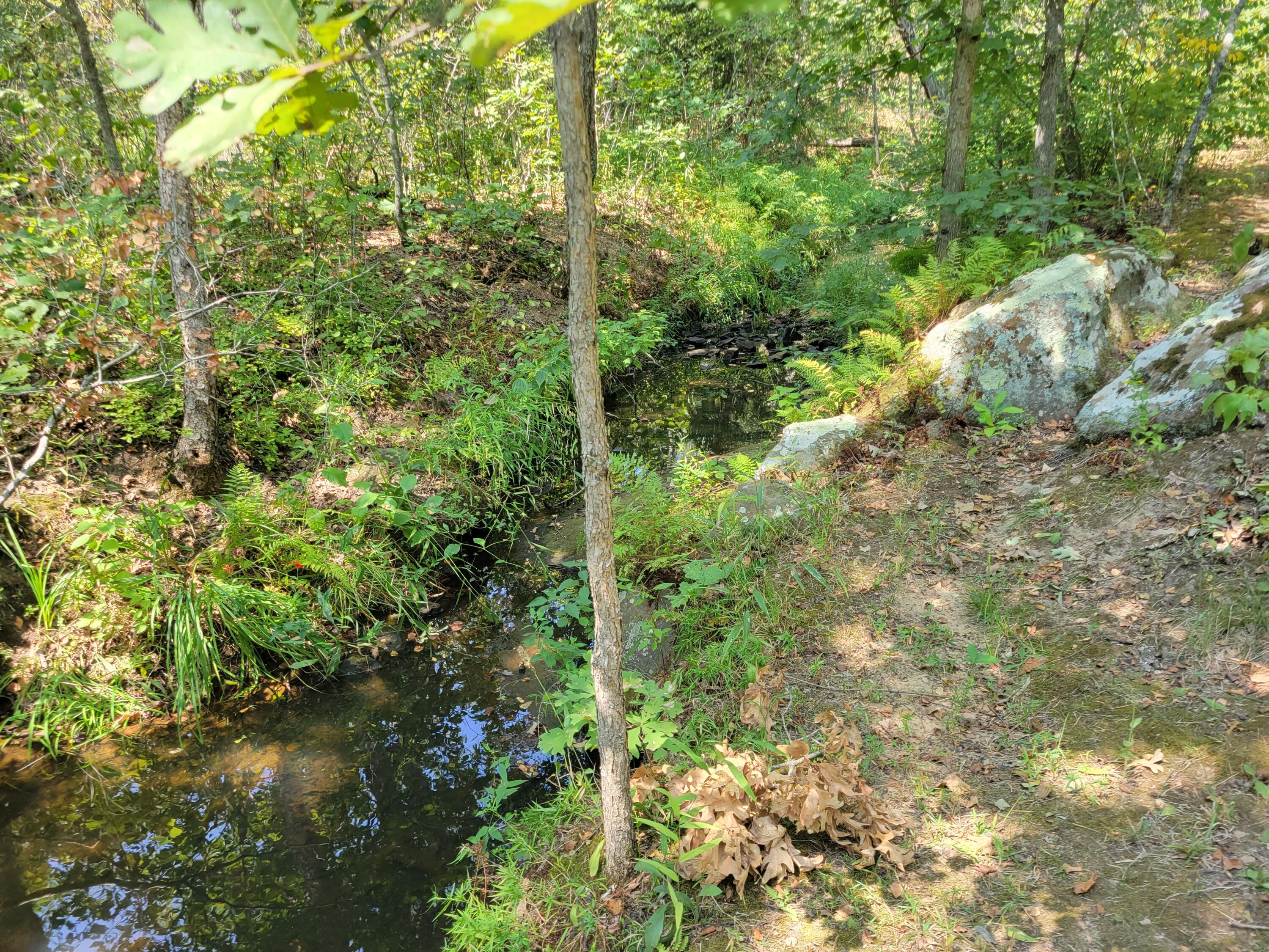 10900 South 351 Road Property Photo 23