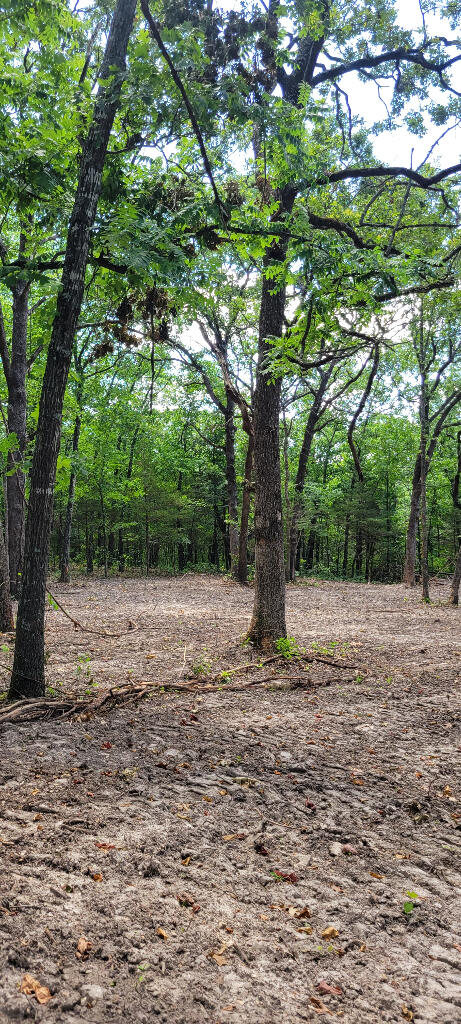 Lot 5 Wispy Trail Road Property Photo 7