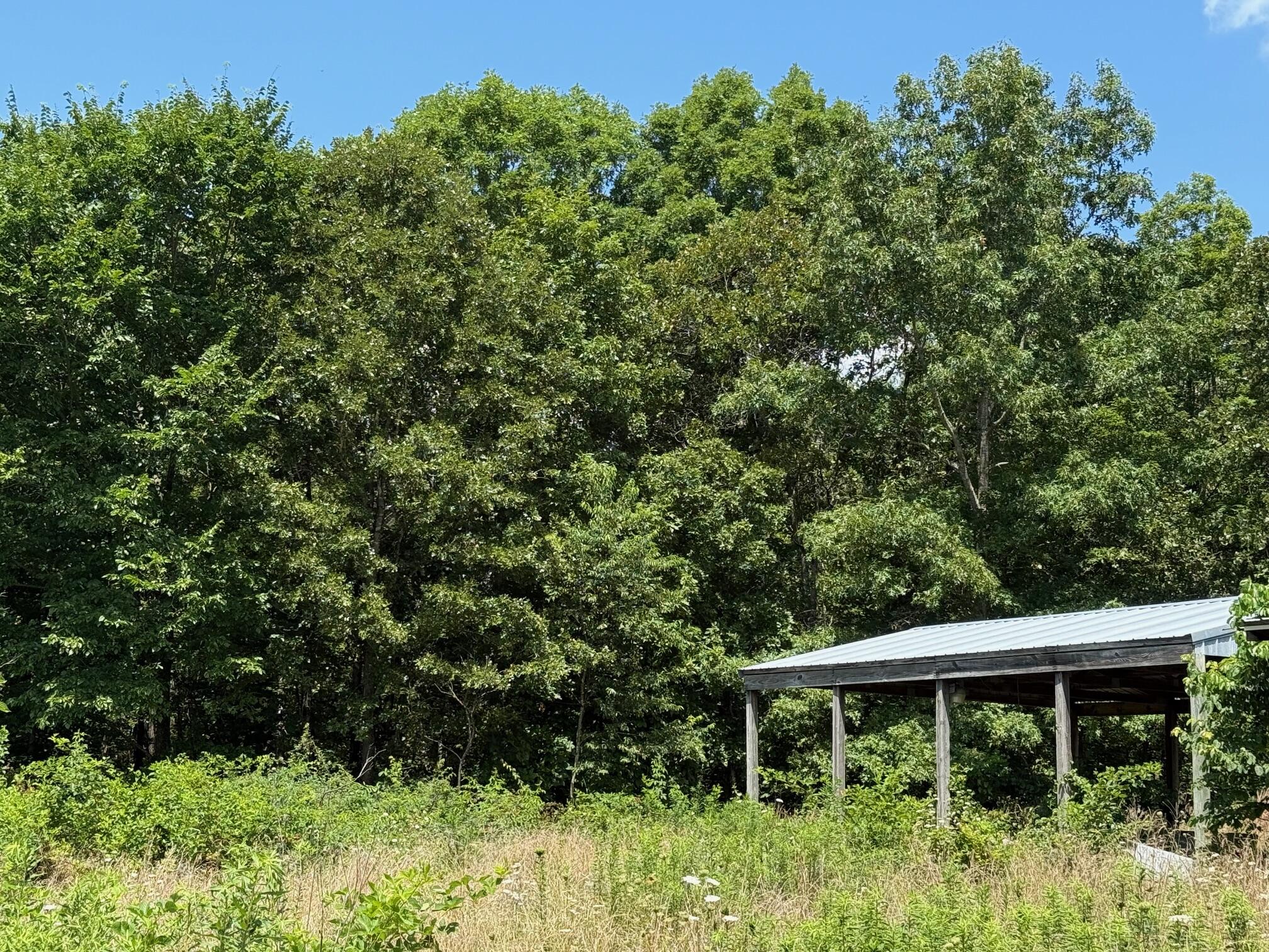 36245 Us 160 Property Photo 5
