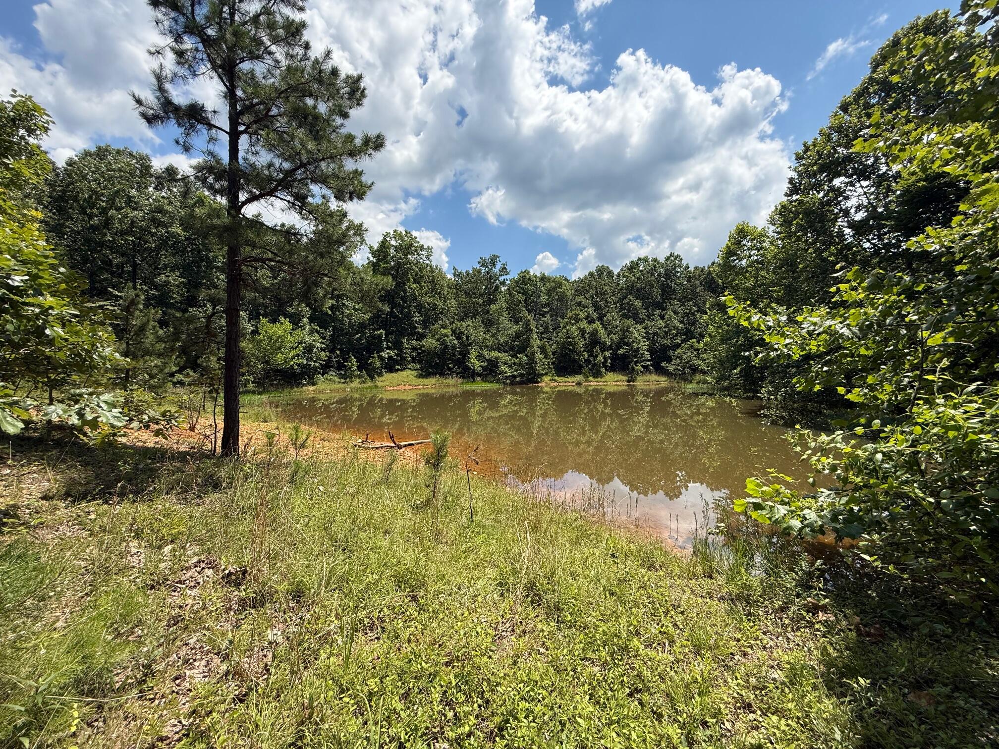 36245 Us 160 Property Photo 7