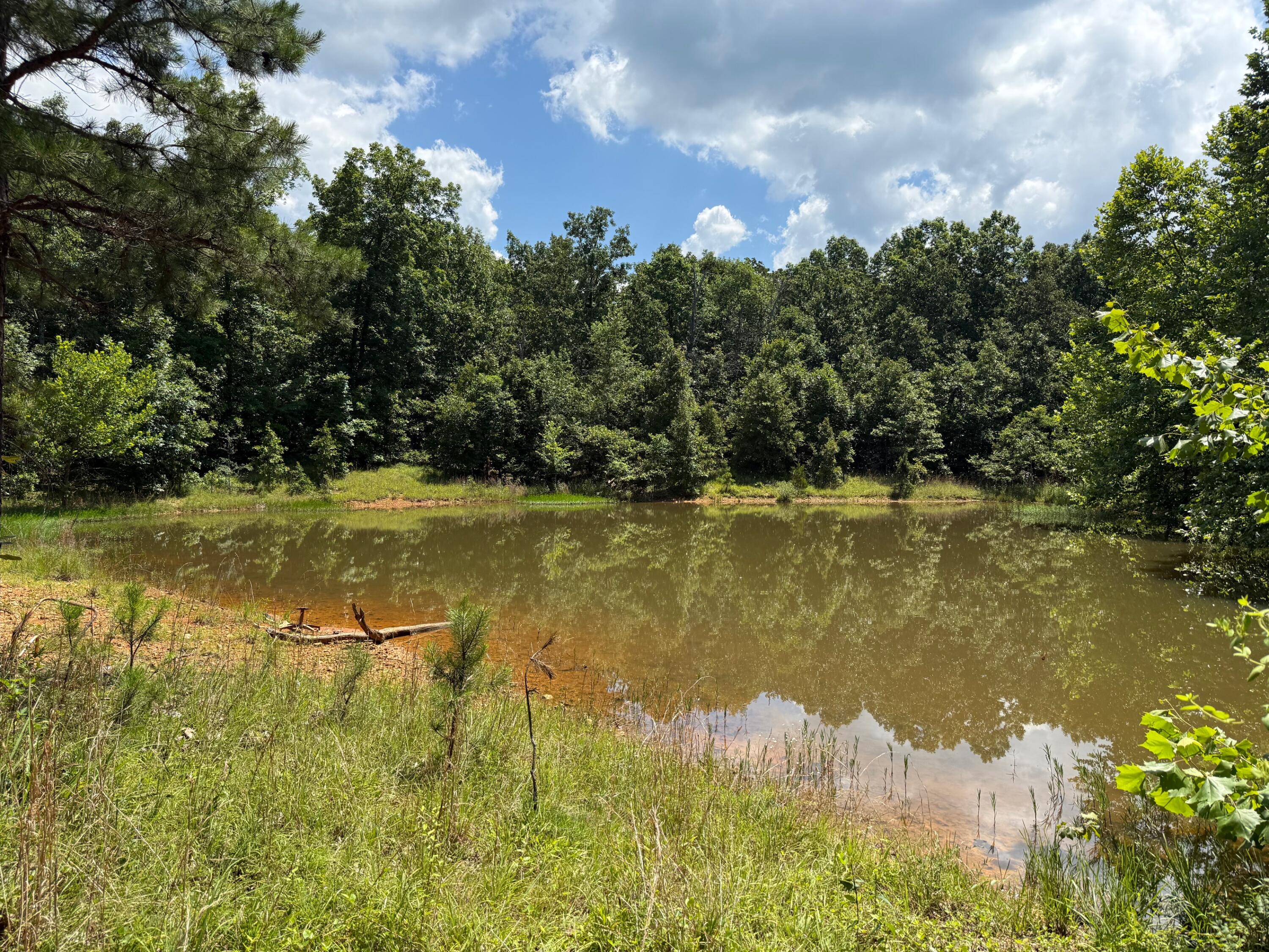 36245 Us 160 Property Photo 8