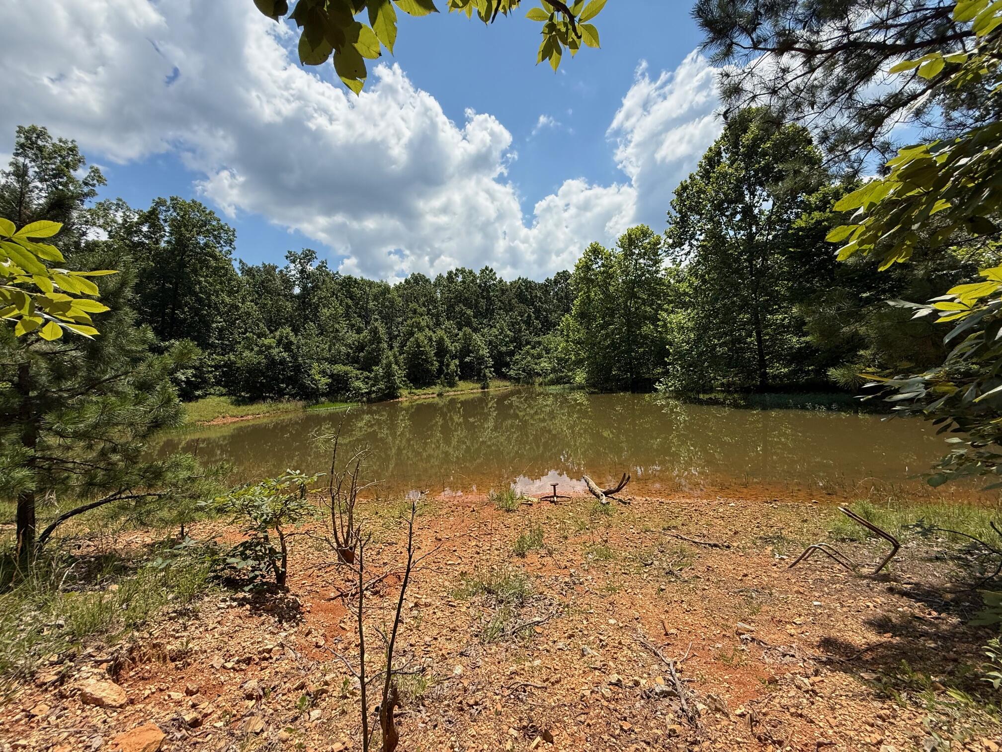 36245 Us 160 Property Photo 9