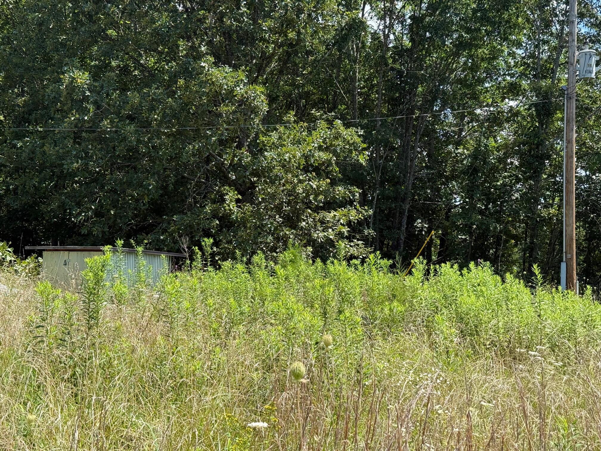 36245 Us 160 Property Photo 10