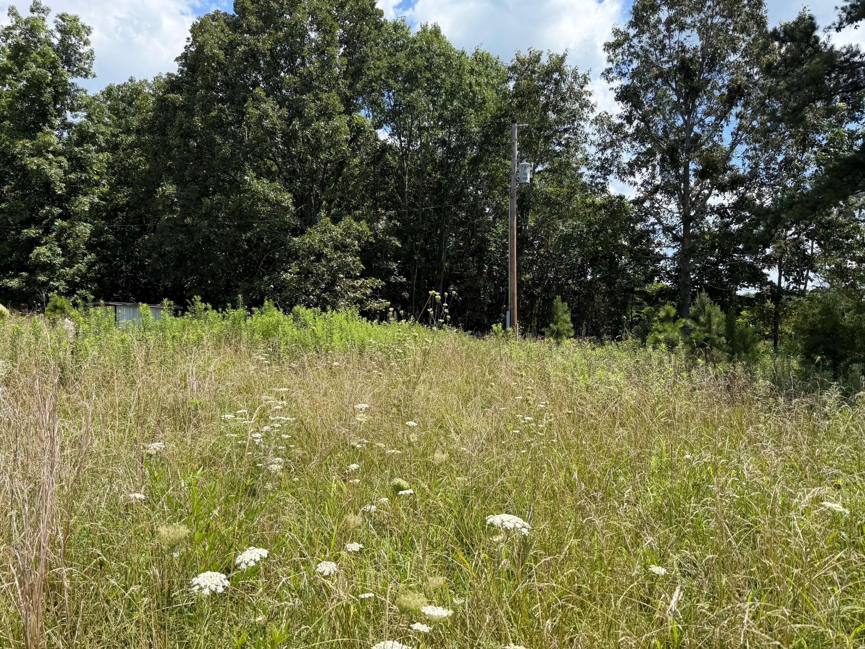 36245 Us 160 Property Photo 11