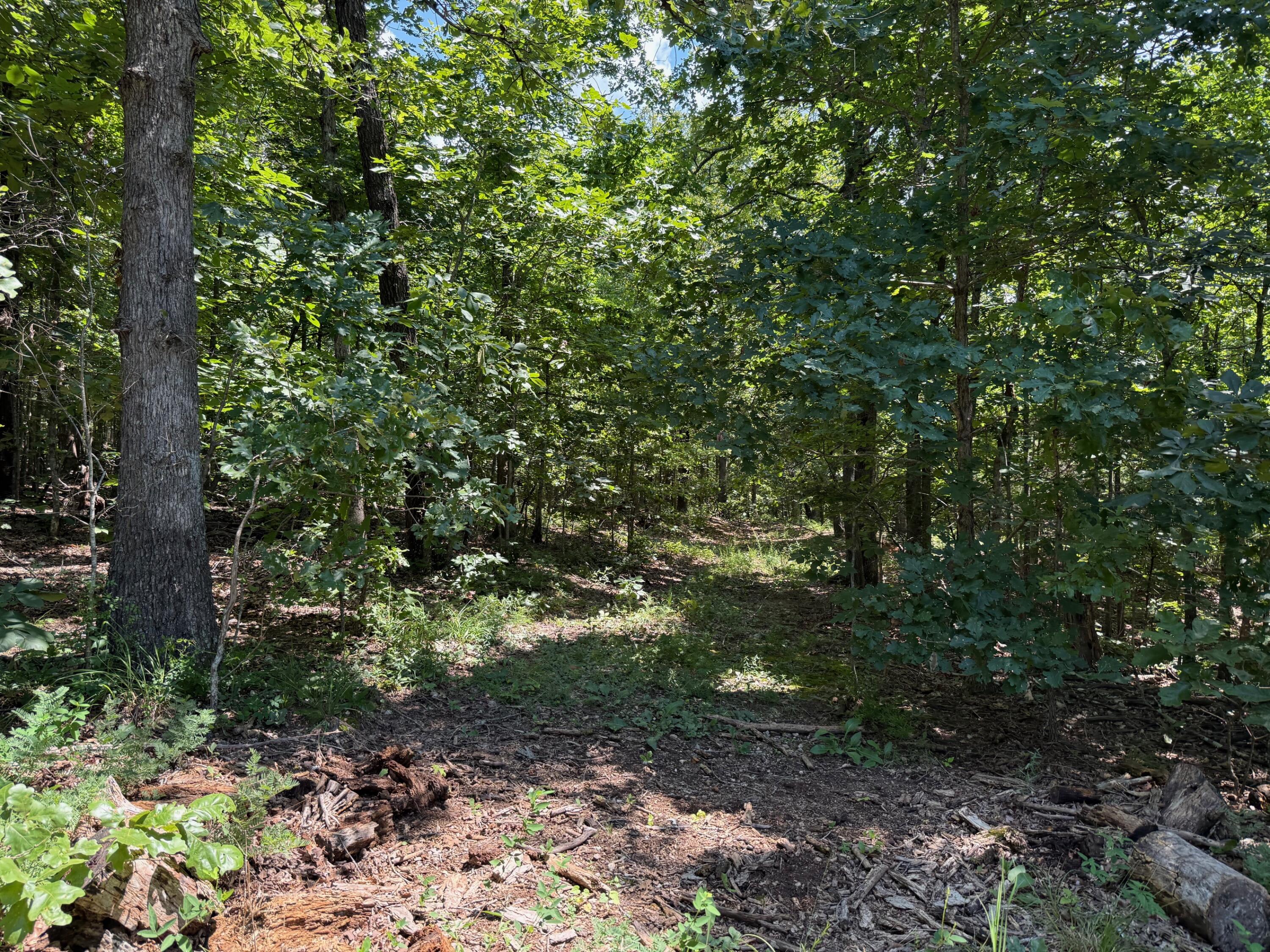 36245 Us 160 Property Photo 12